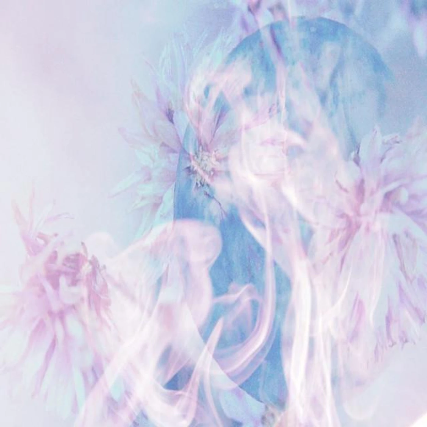 k' Brand Page
