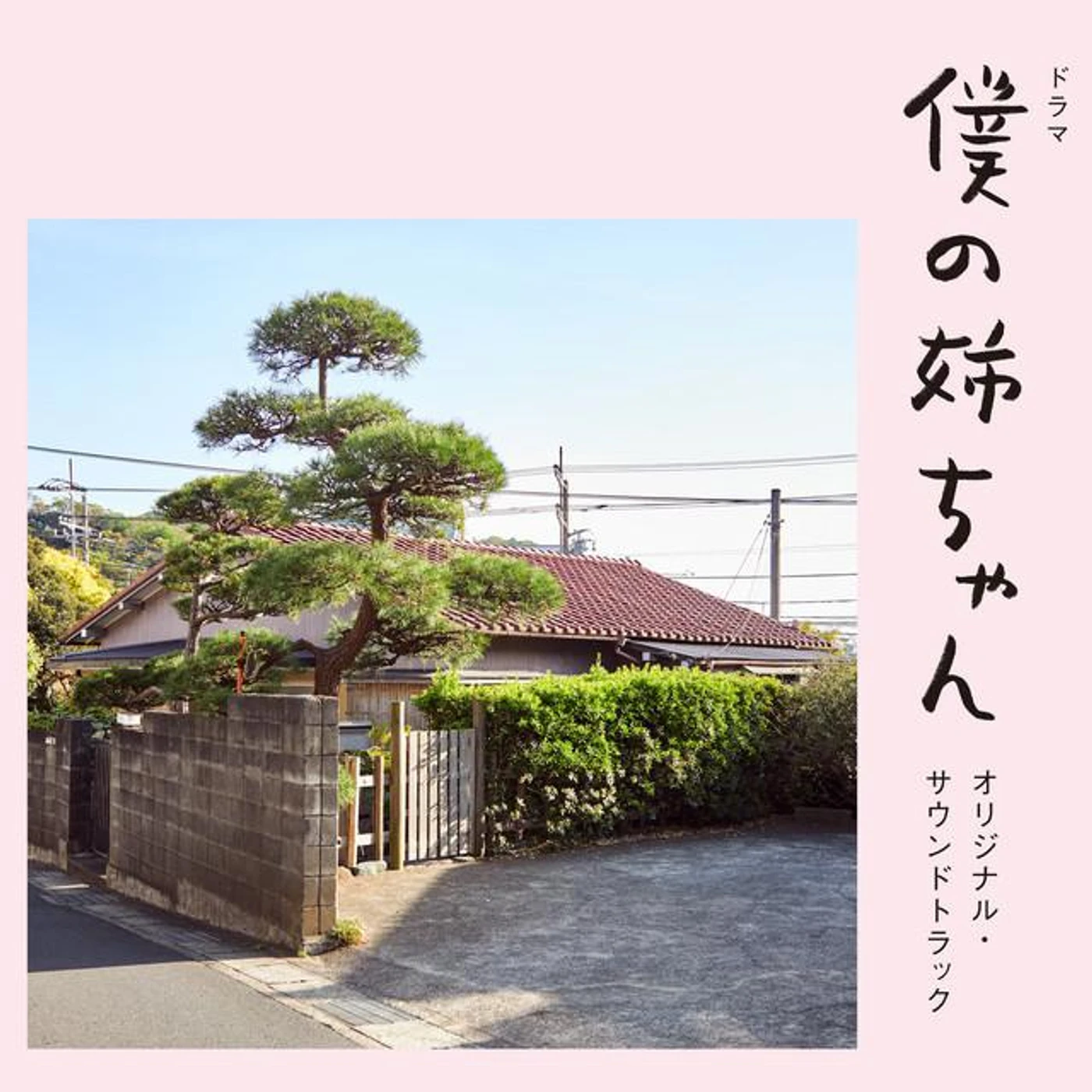 Kano Kawashima Brand Page