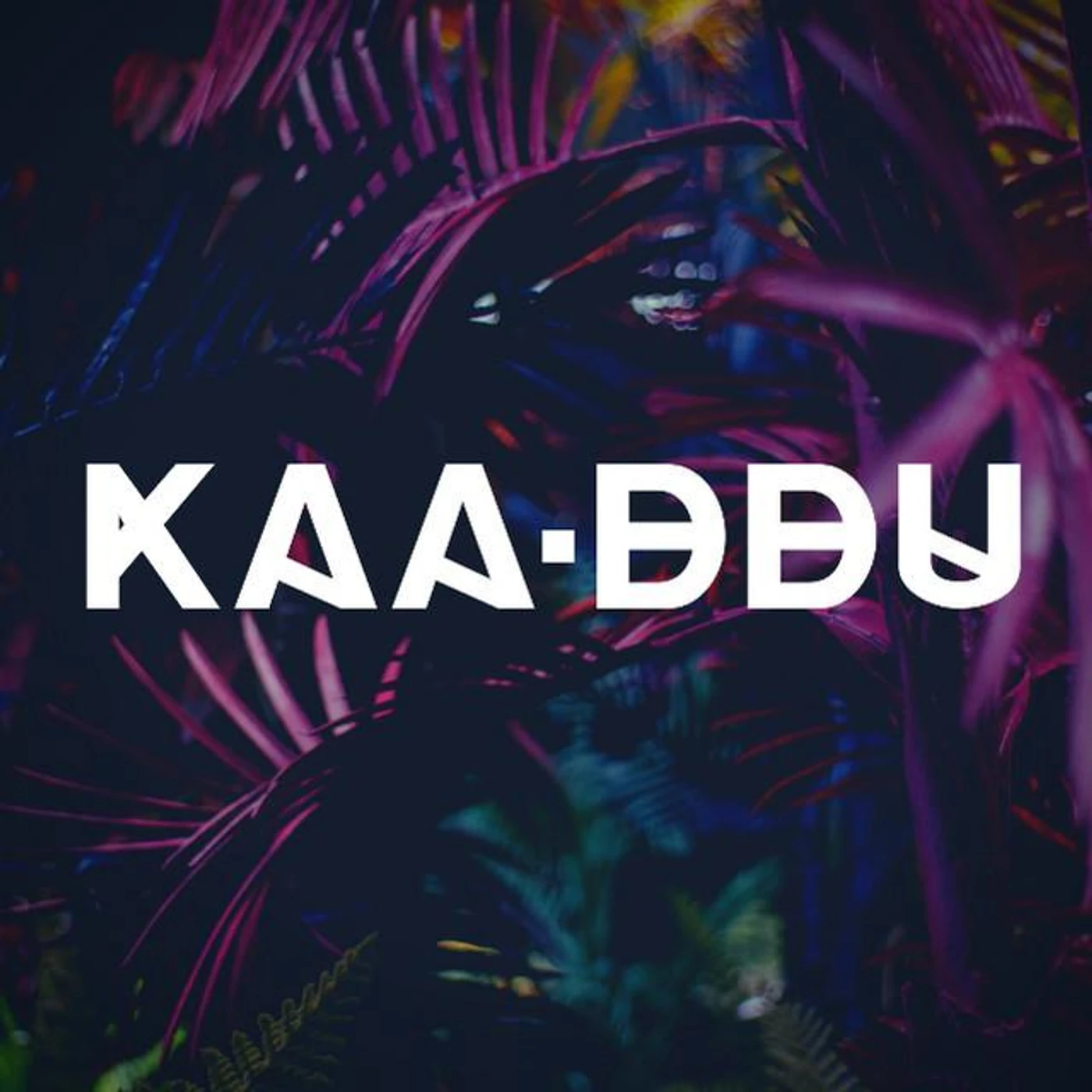 KAA.DDU Brand Page