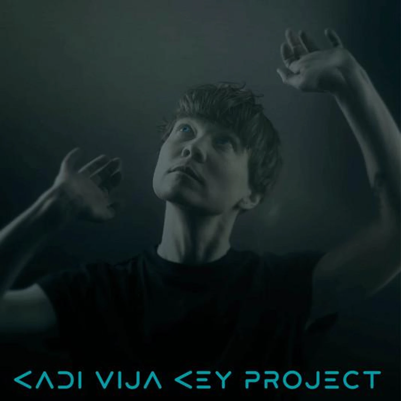Kadi Vija Key Project Brand Page