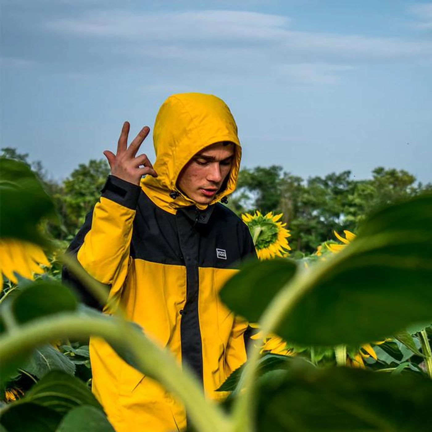 Kain DRMS Brand Page