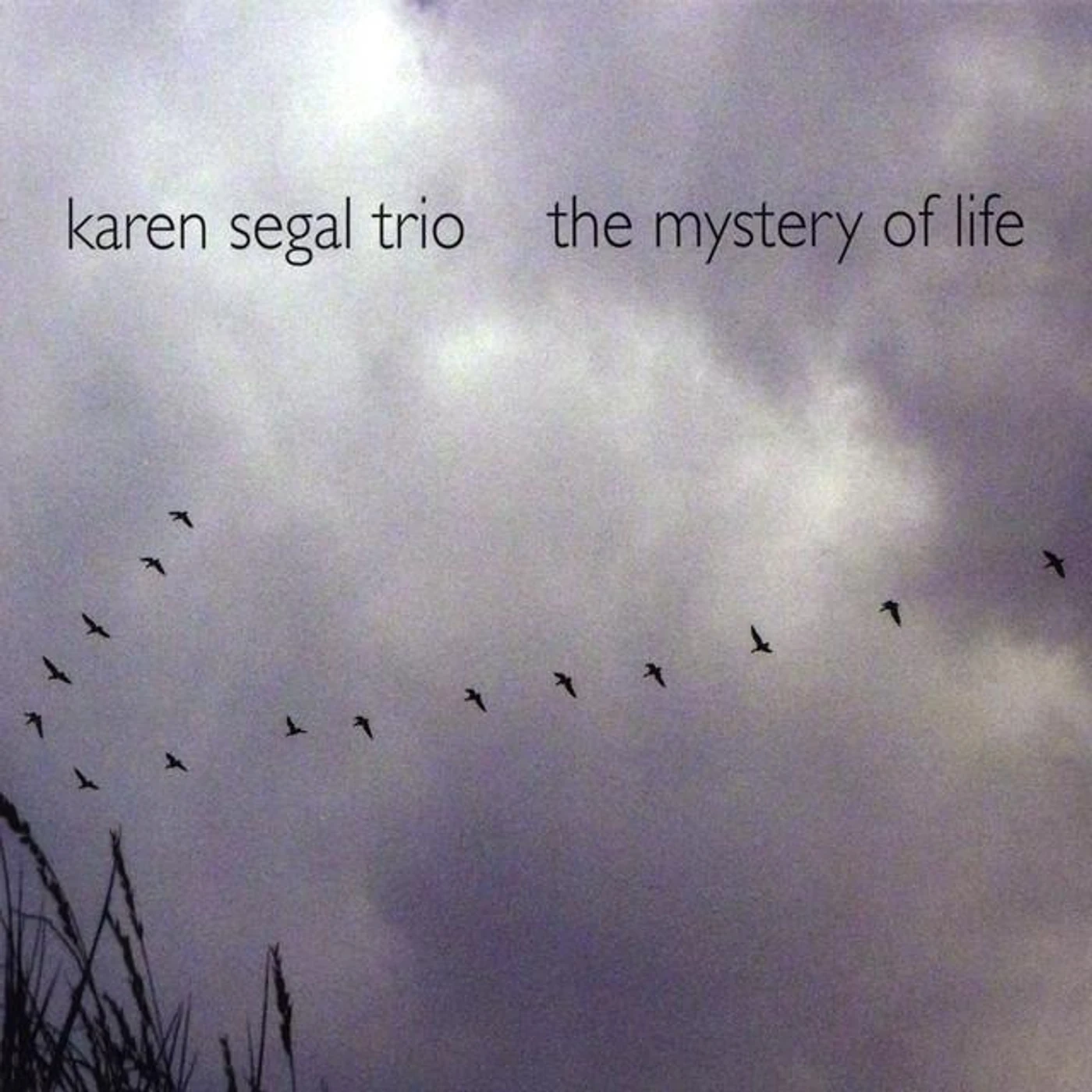 Karen Segal Trio Brand Page