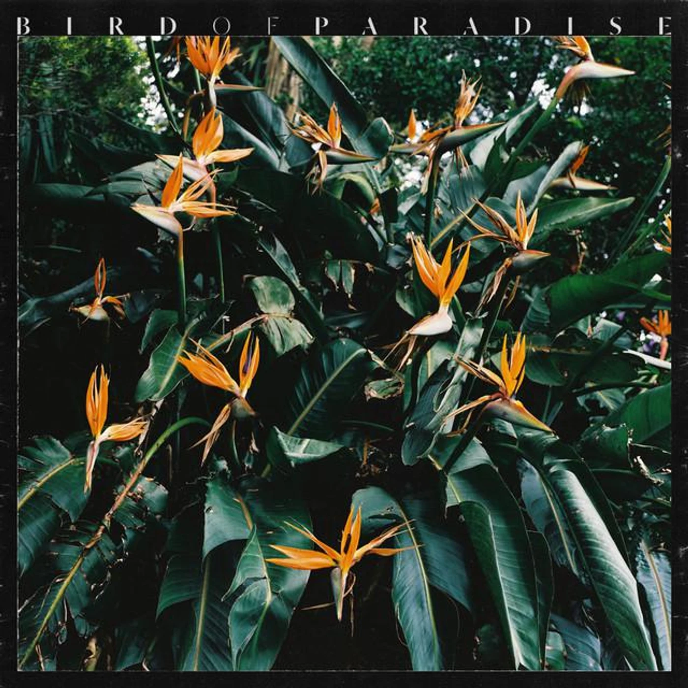 Karnan Saba Brand Page