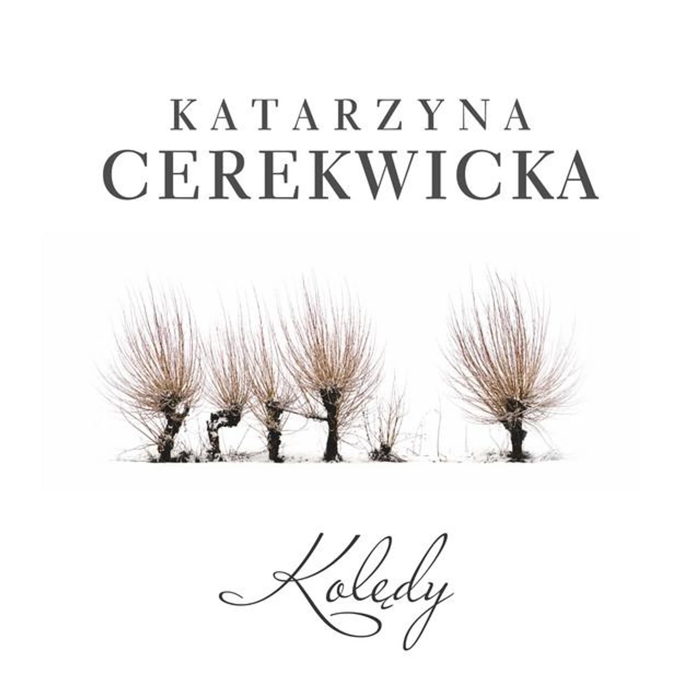 Katarzyna Cerekwicka Brand Page