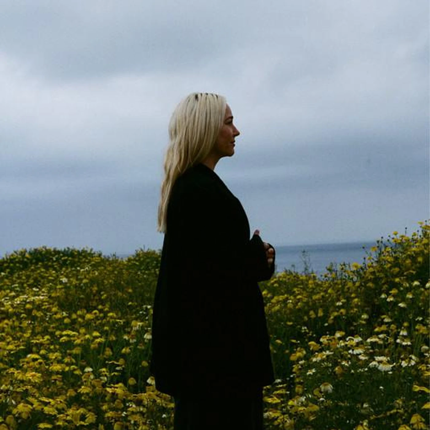 Kathleen Regan Brand Page