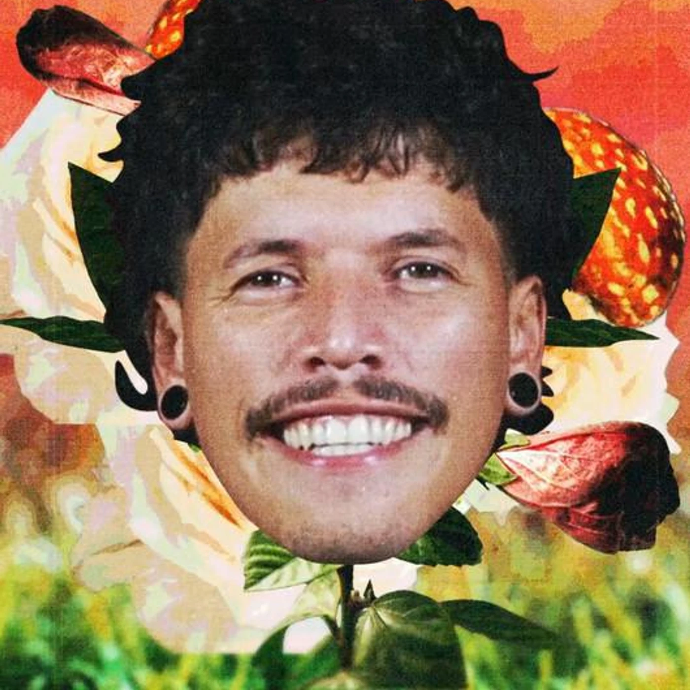 Kdu dos Anjos