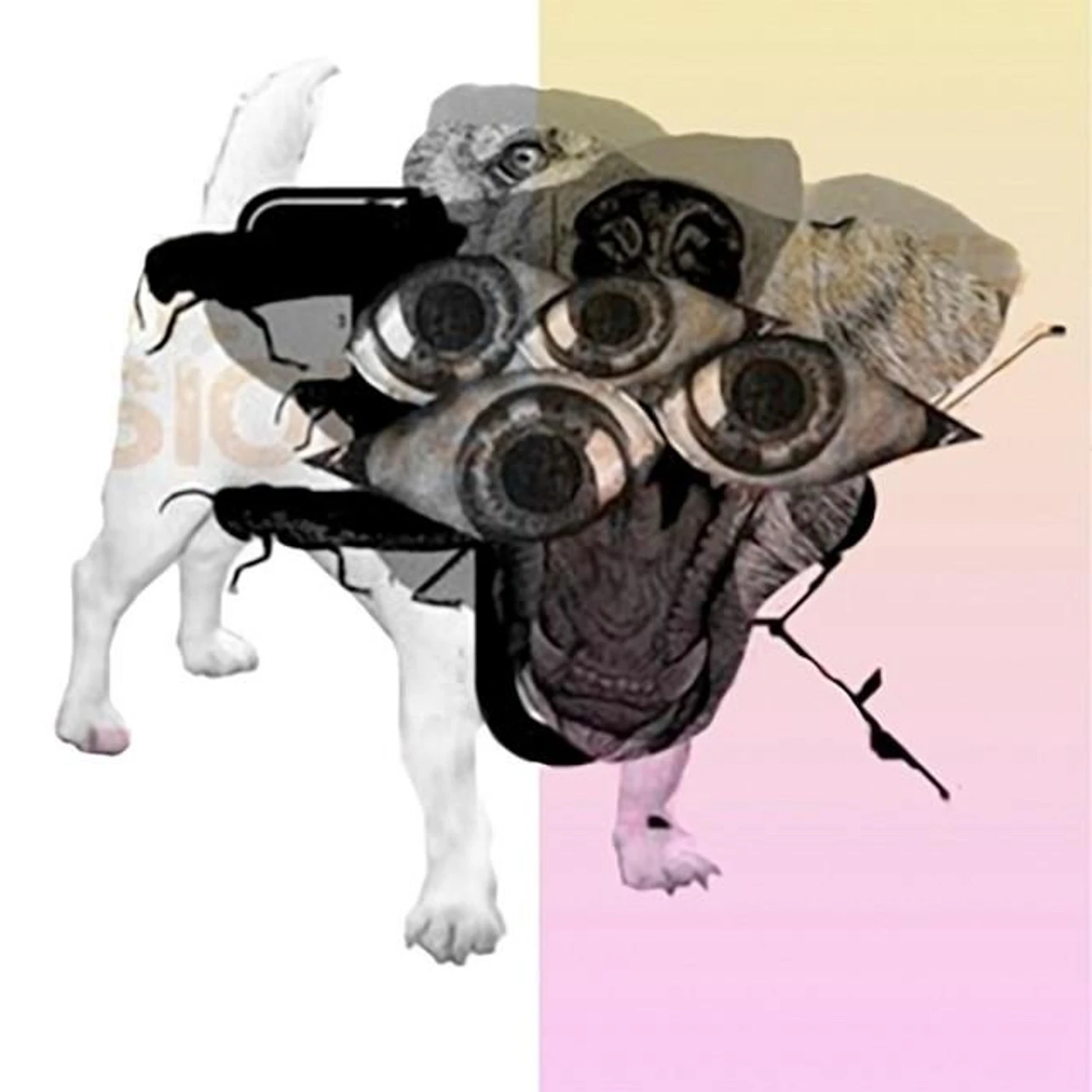 Kept Blue Brand Page