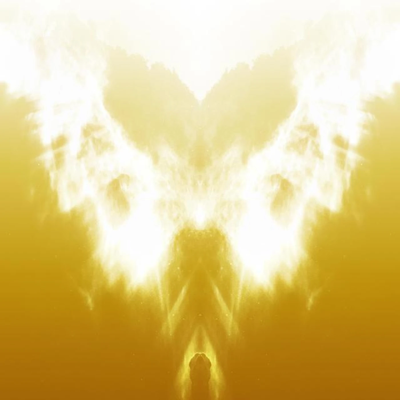 Kevin Wrenn Brand Page