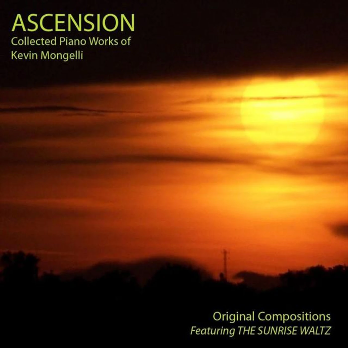 Kevin Mongelli Brand Page