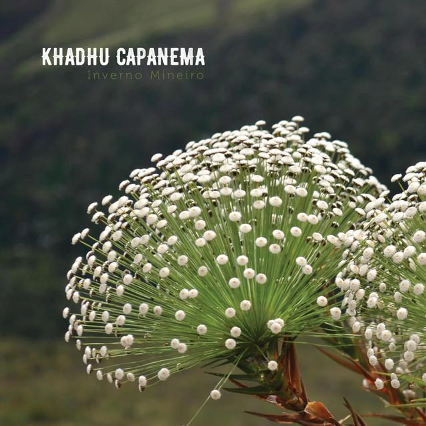 Khadhu Capanema Brand Page