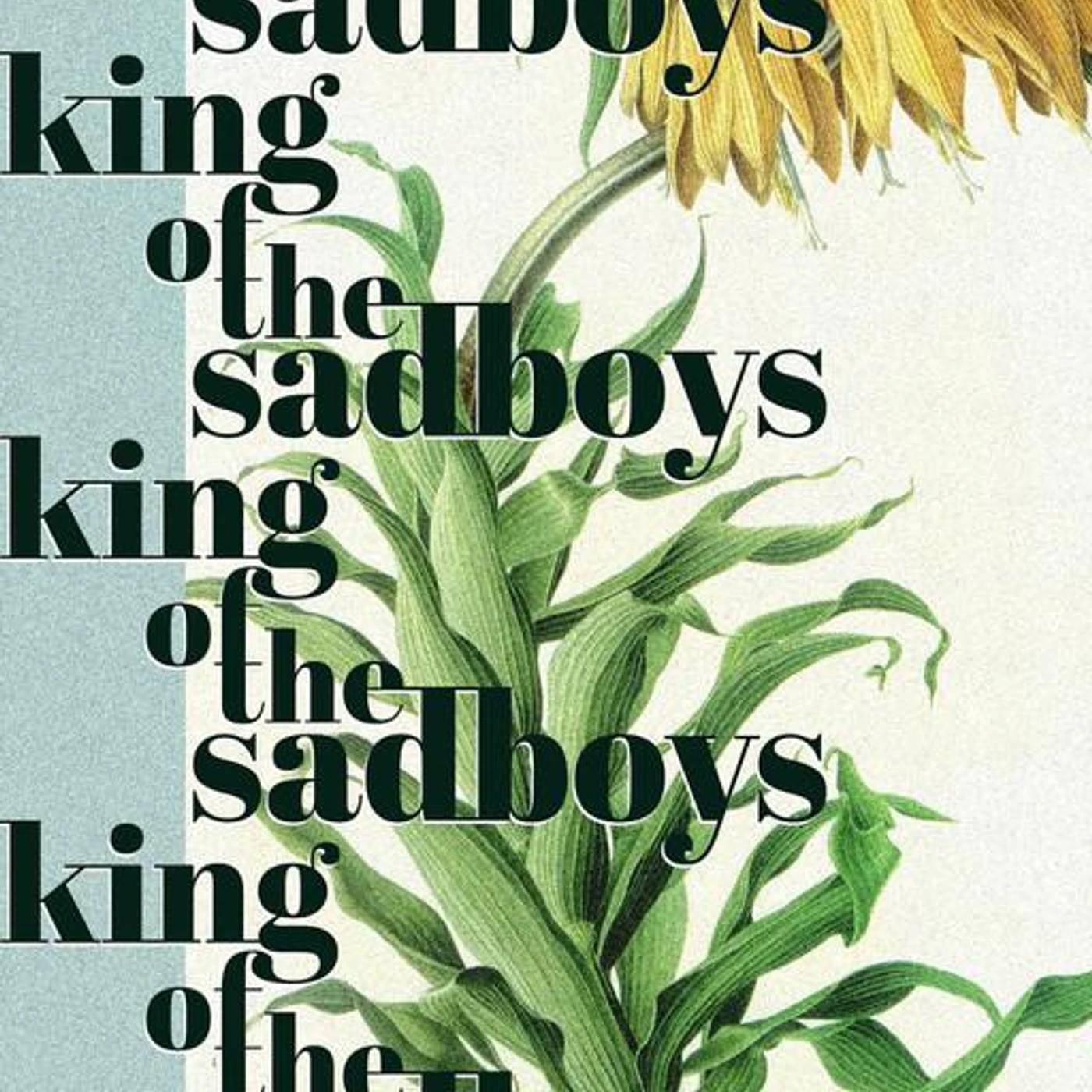 king of the sadboys