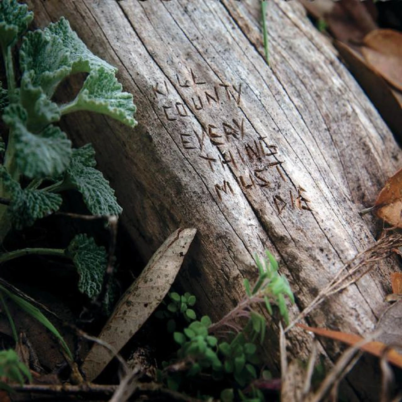 Kill County Brand Page