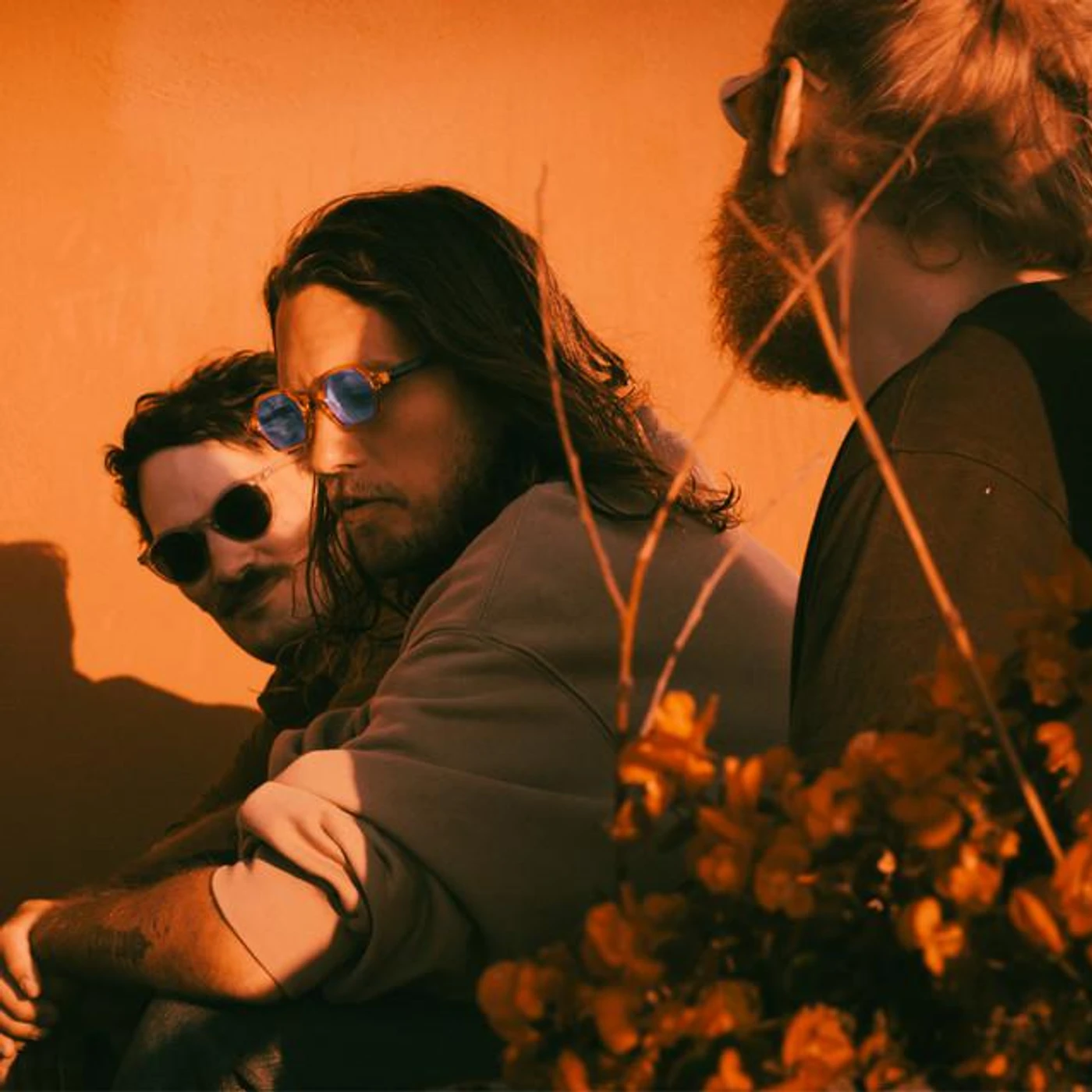 Koala Bar Brand Page