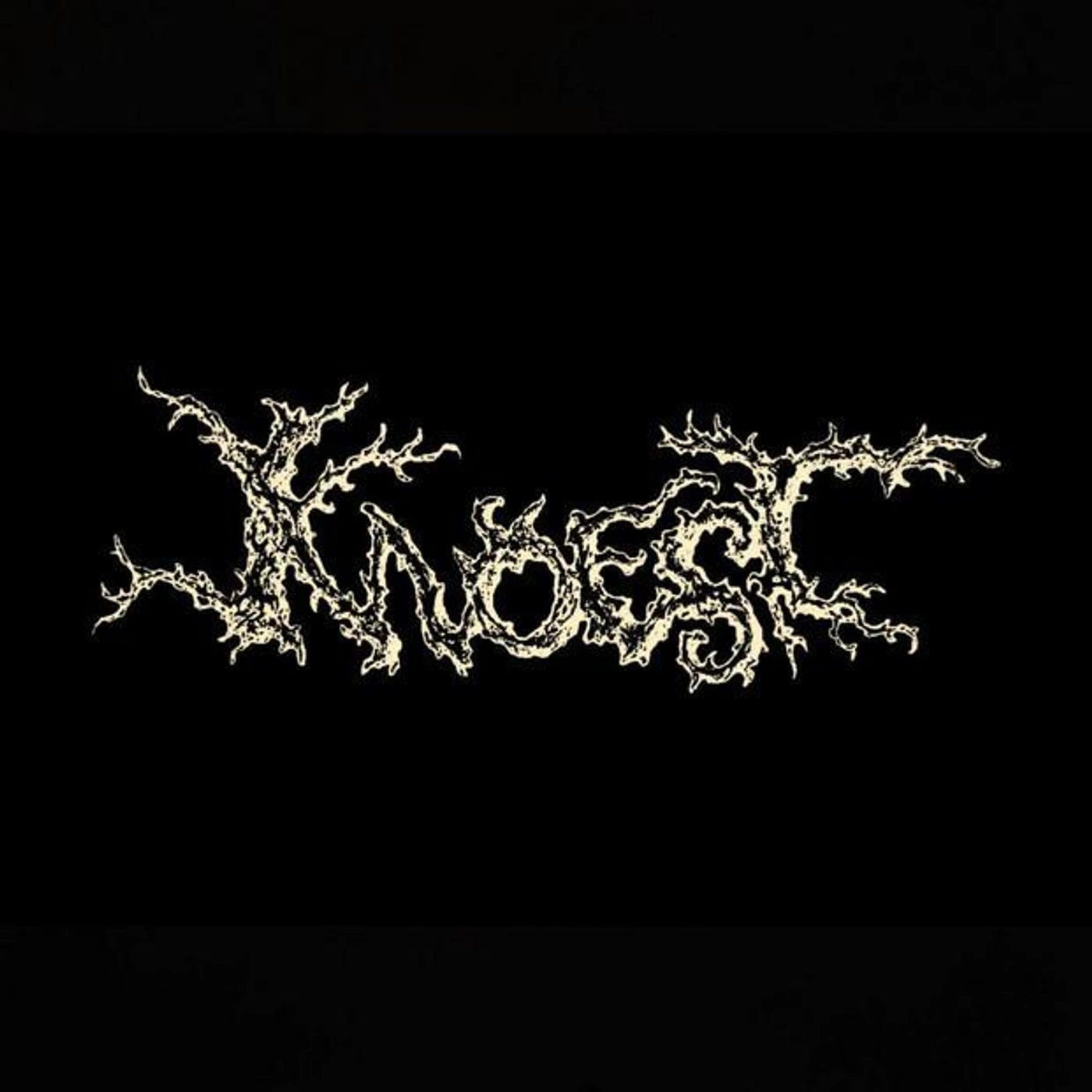 KNOEST Brand Page