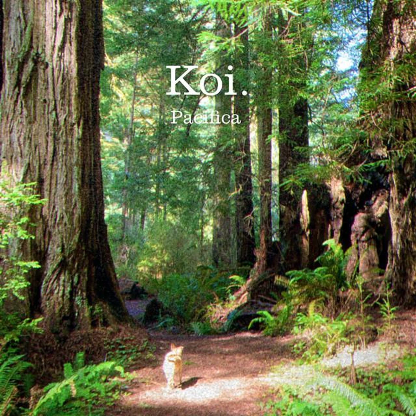 Koï Brand Page