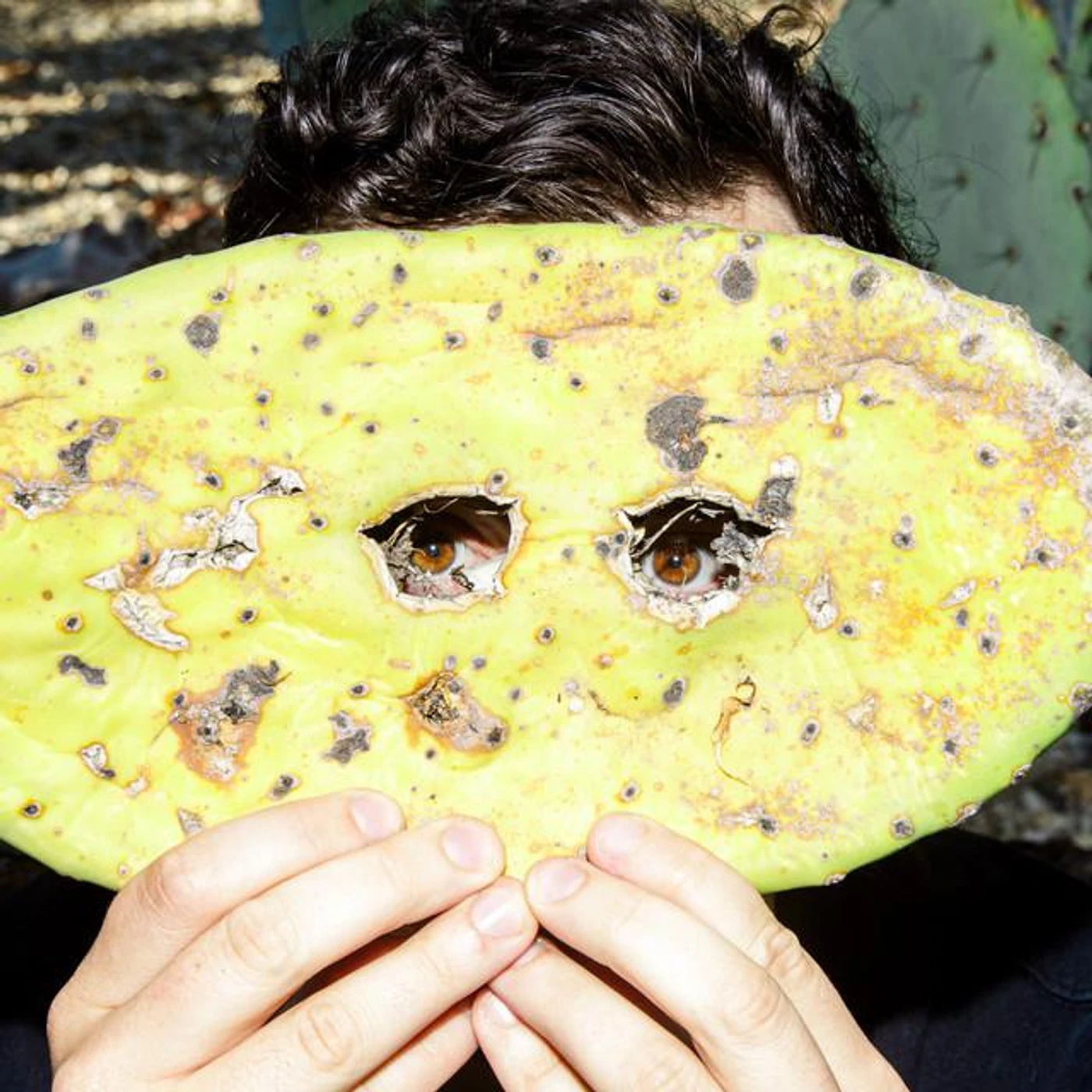 Kronowski Brand Page