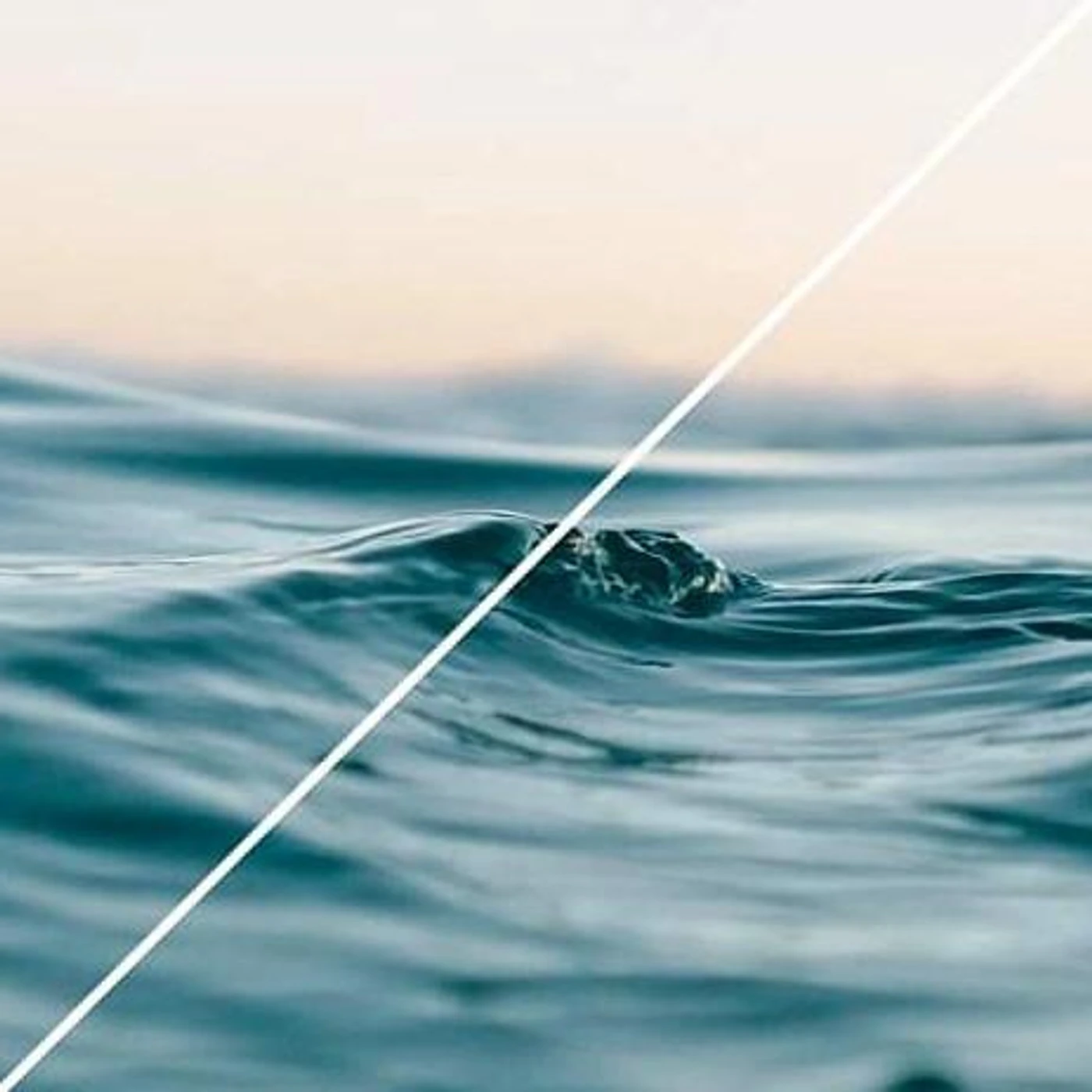 Krissky Brand Page