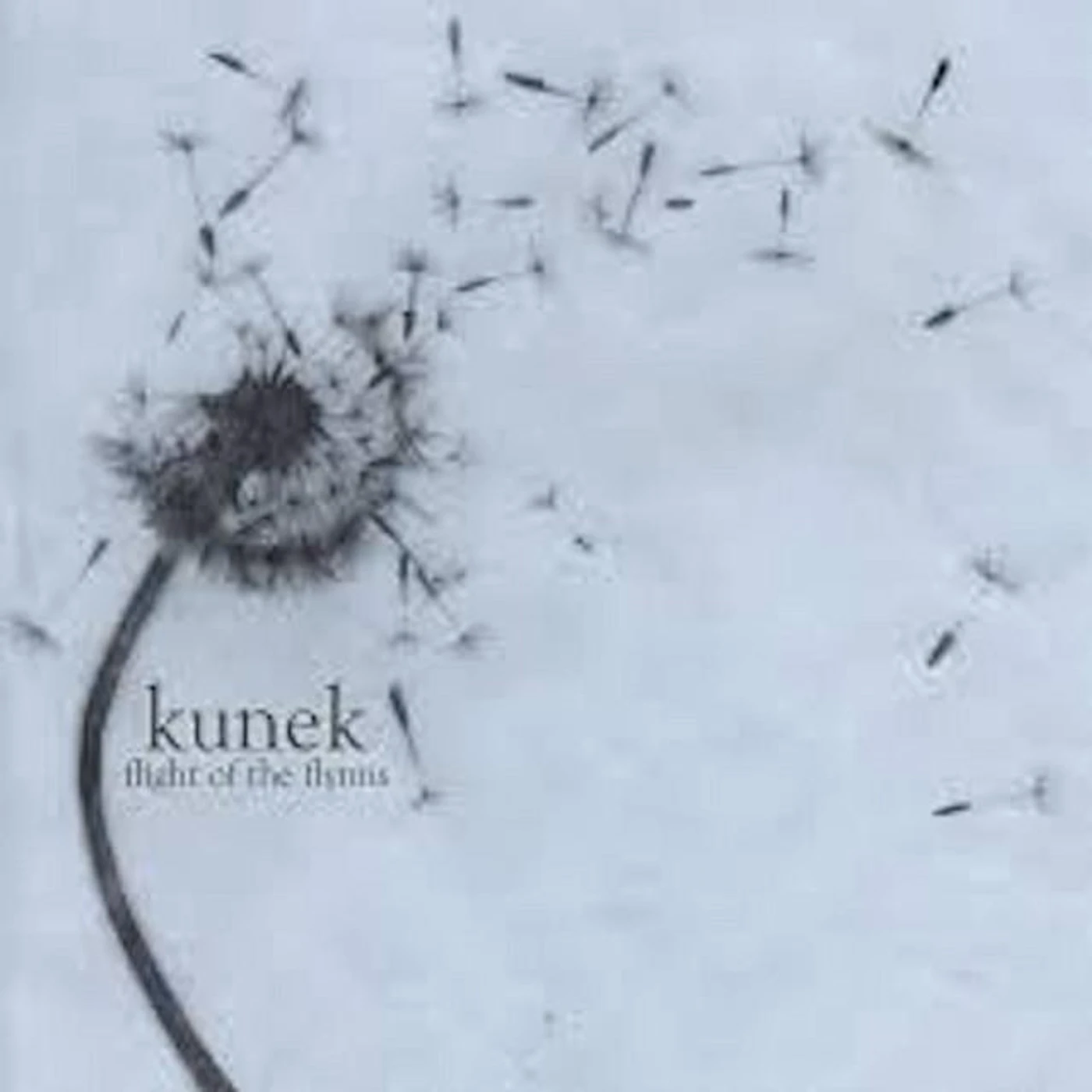 Kunek Brand Page