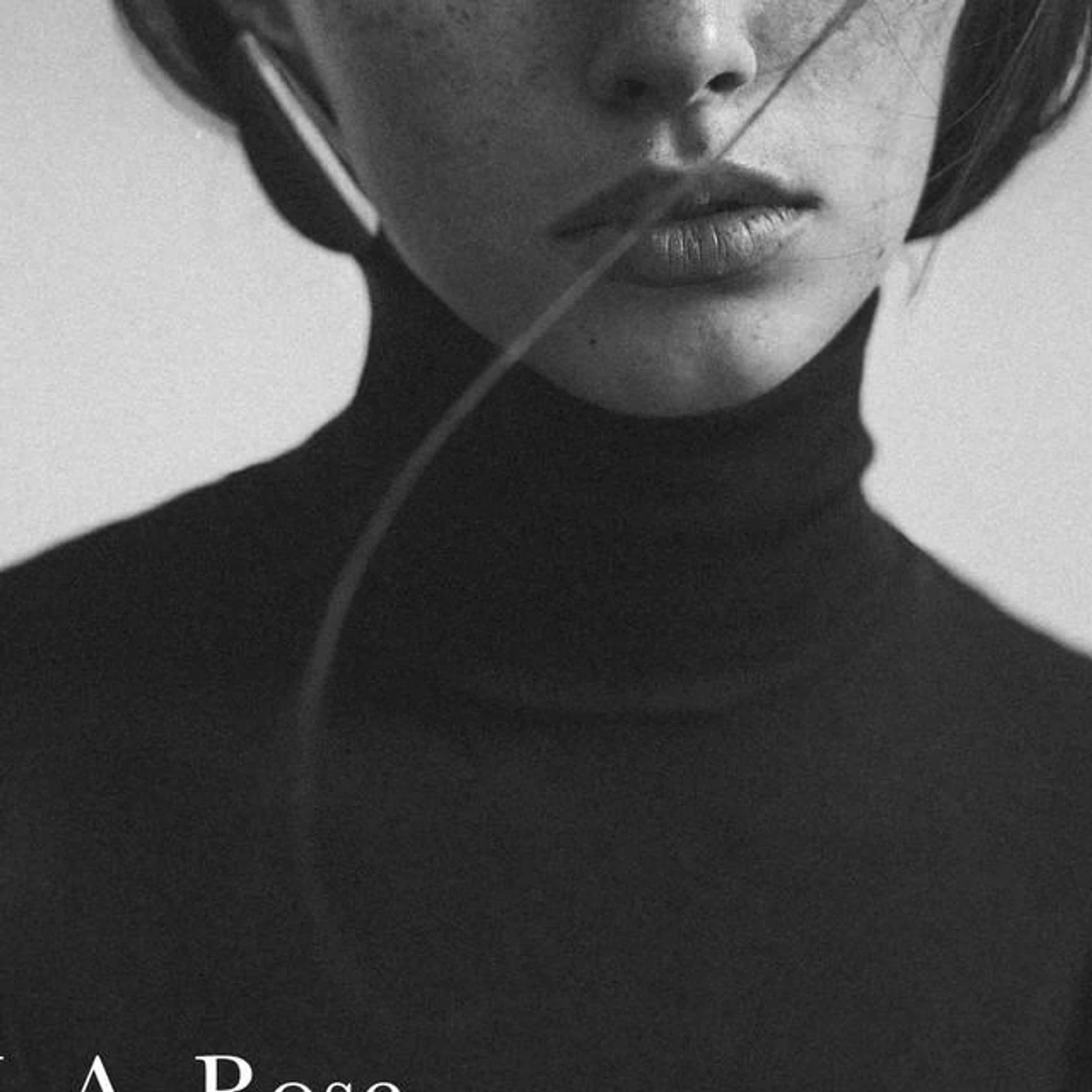 L.A. Rose Brand Page