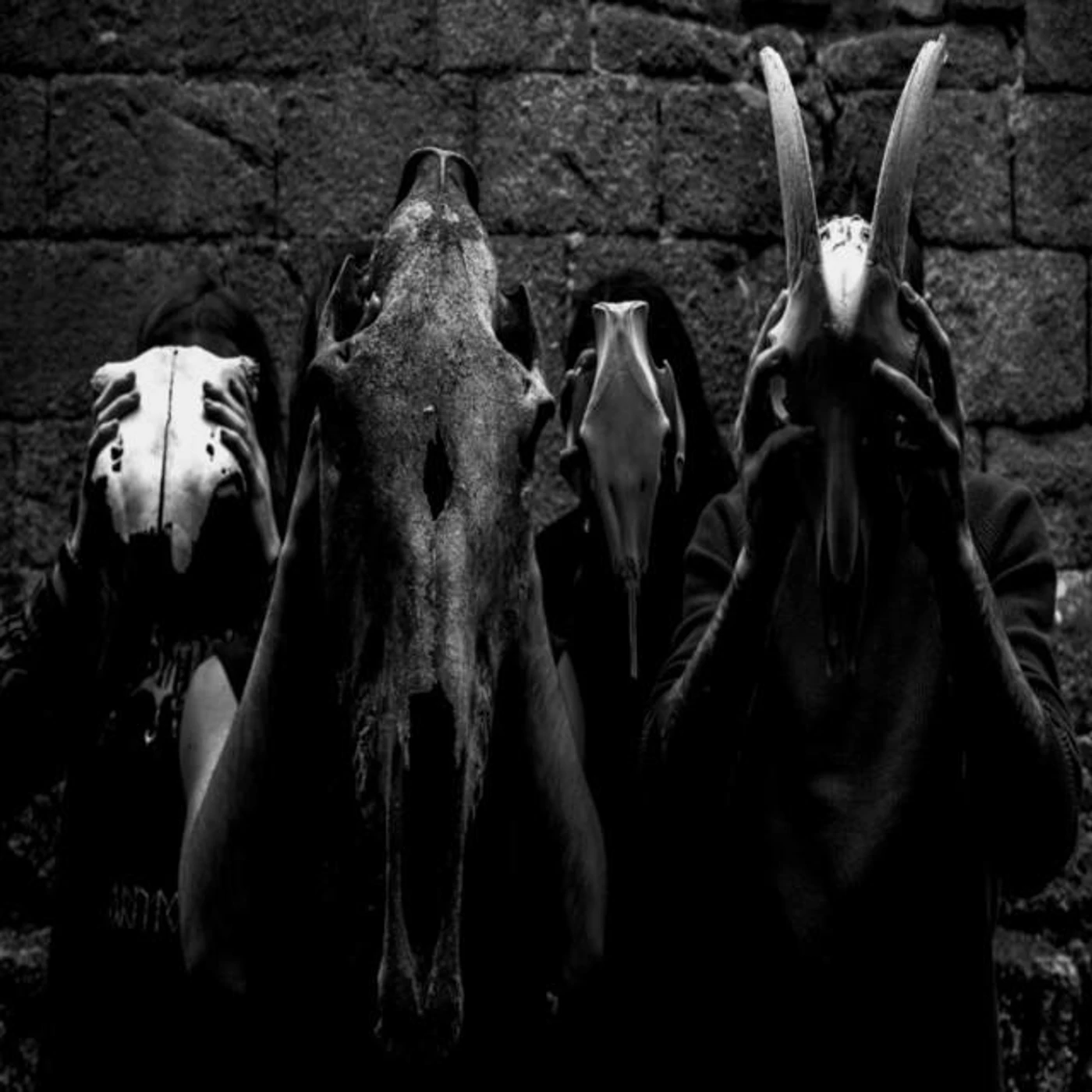 Lóstregos Brand Page