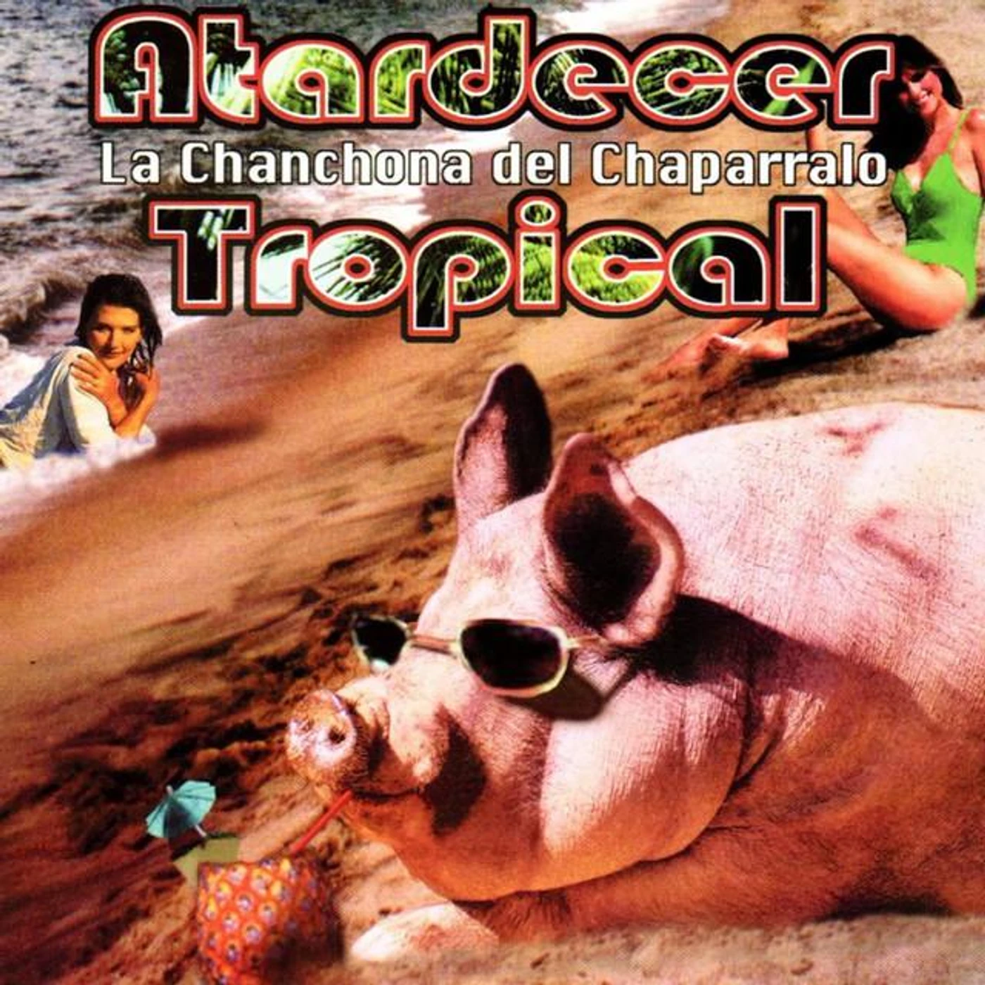 La Chanchona Del Chaparralo