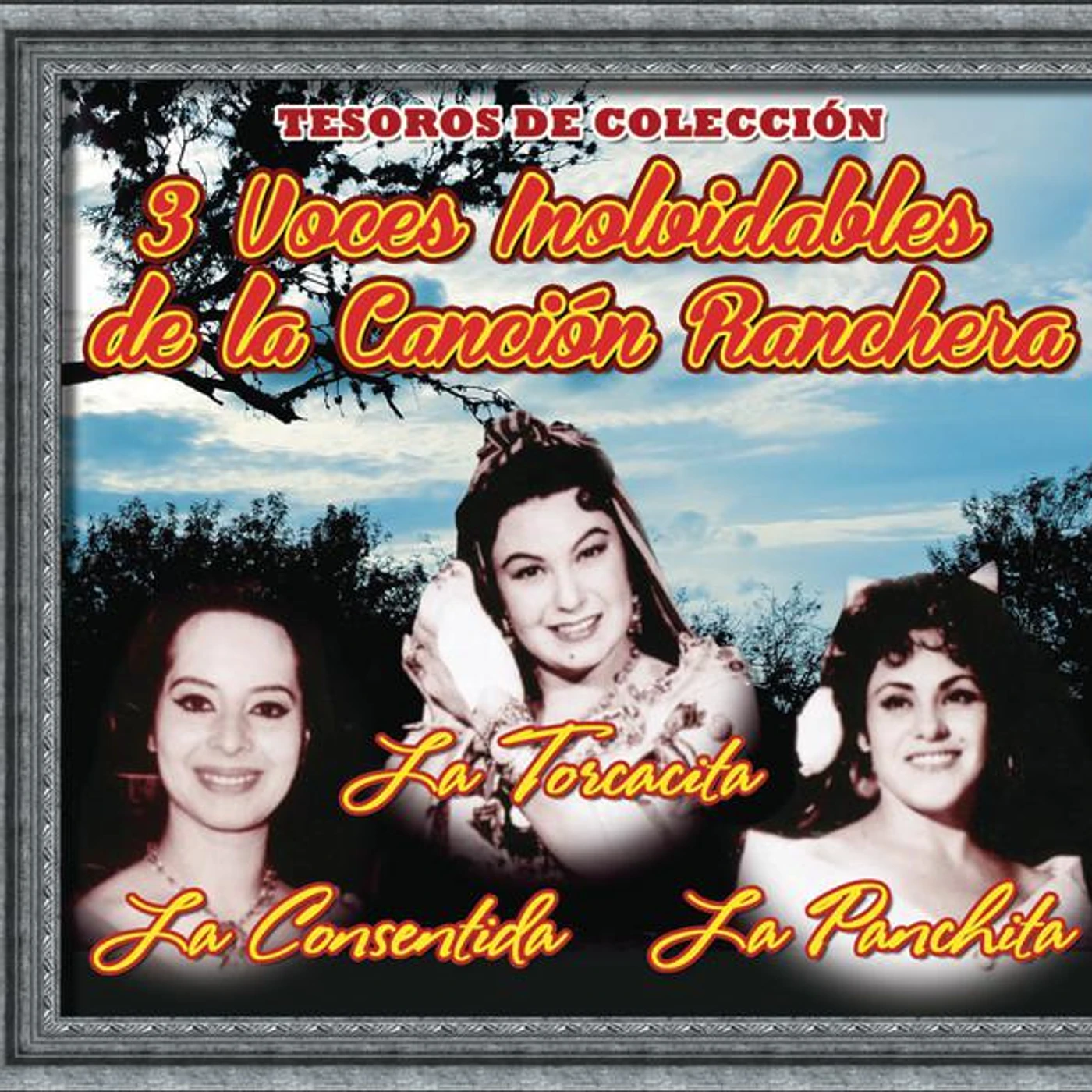 La Panchita Brand Page