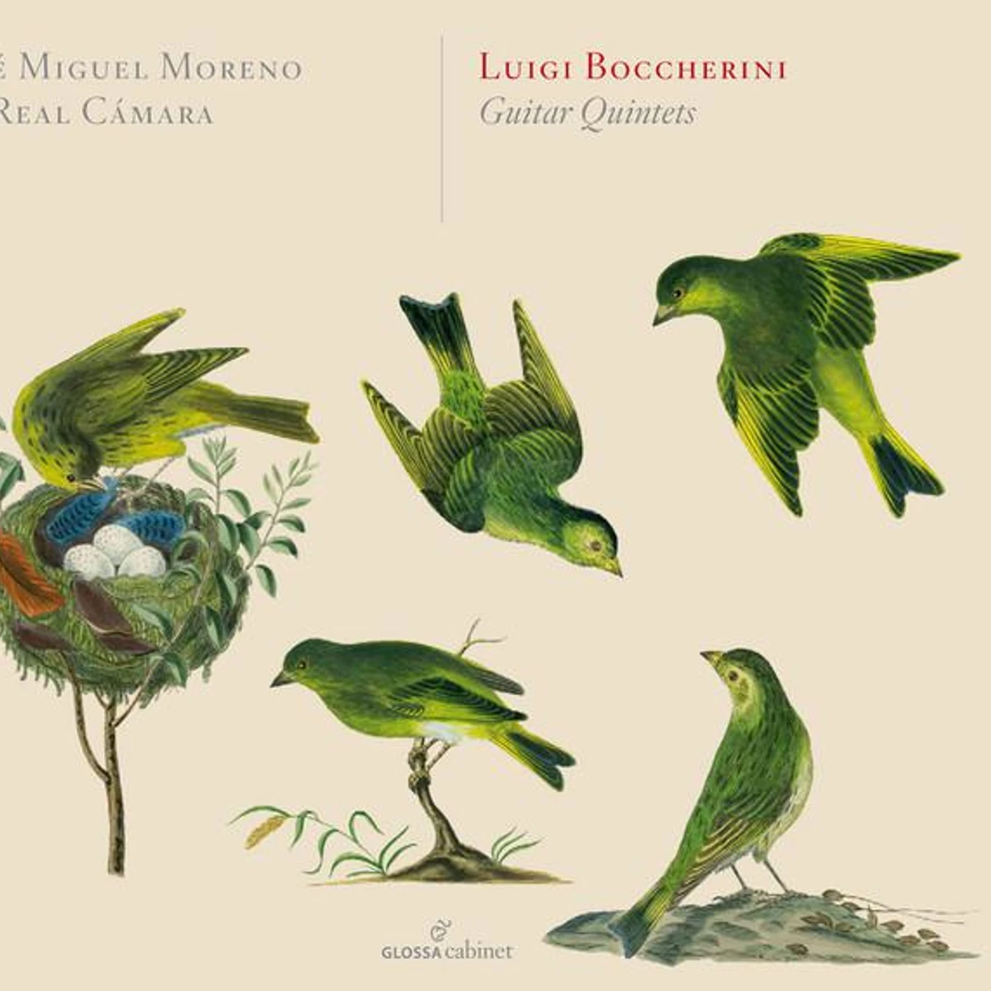 La Real Cámara Brand Page