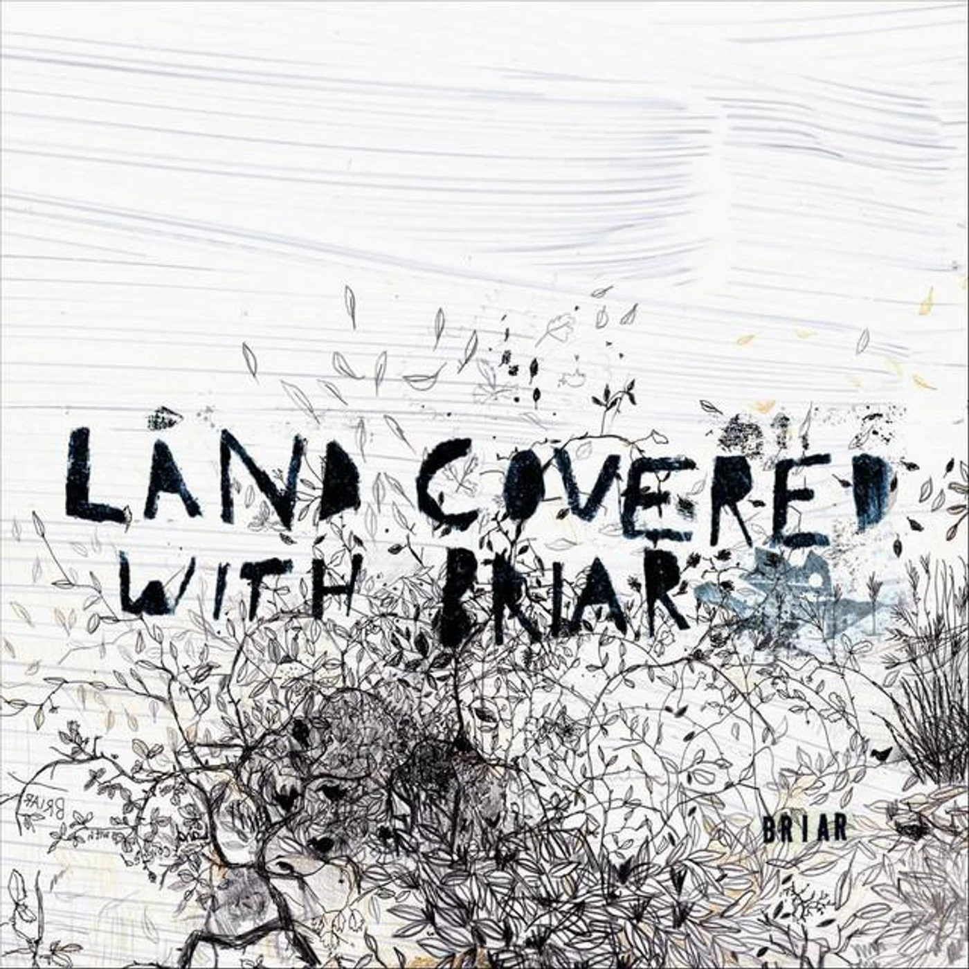 Land Covered With Briar