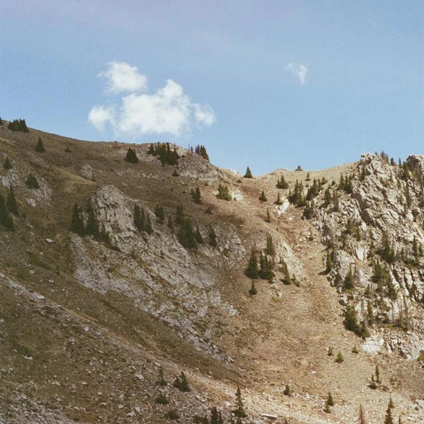 Land Systems Brand Page