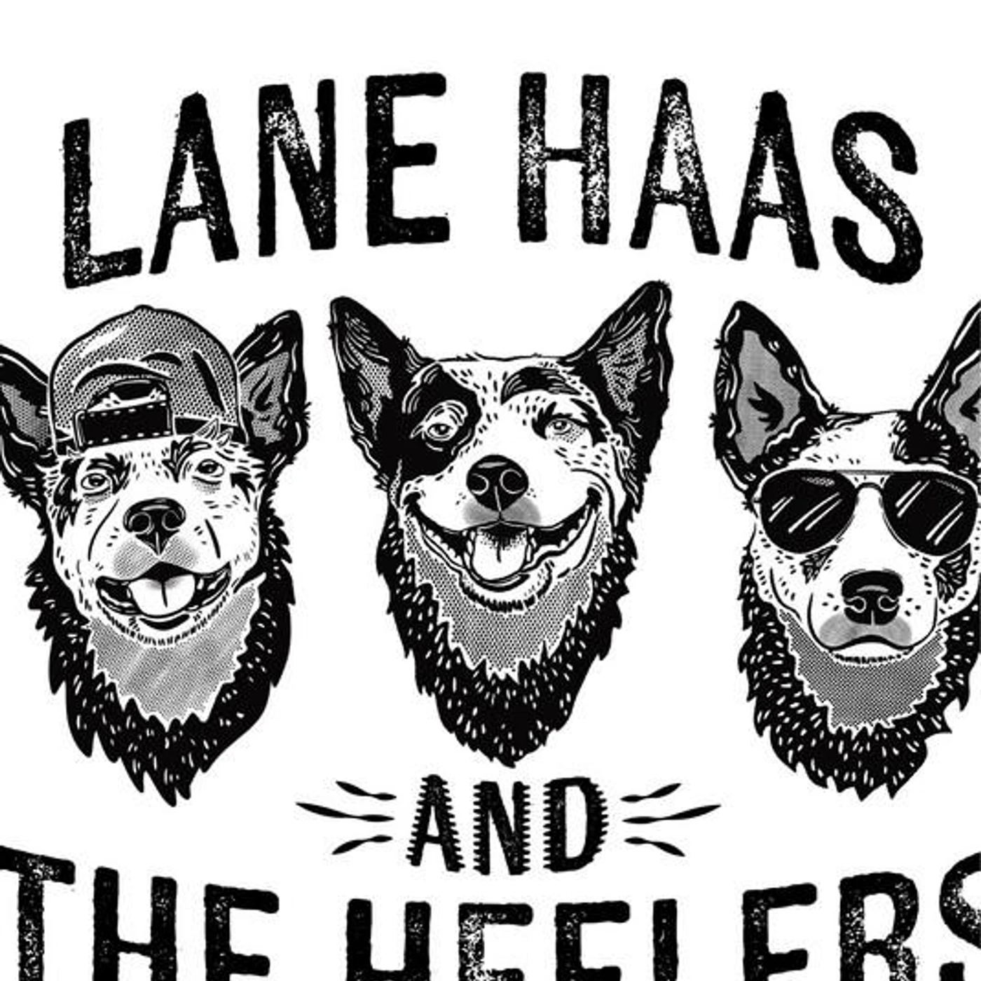 Lane Haas