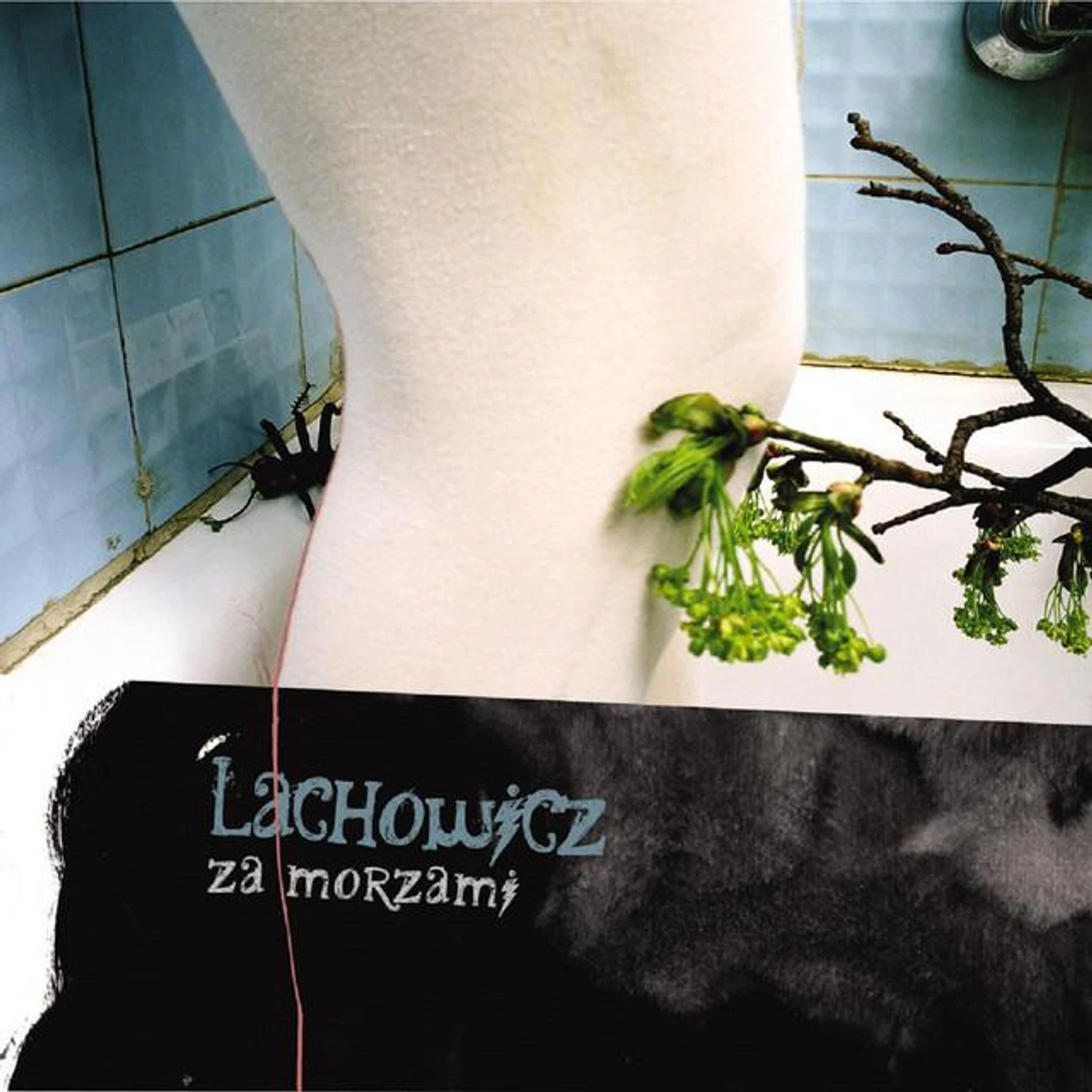 Lachowicz