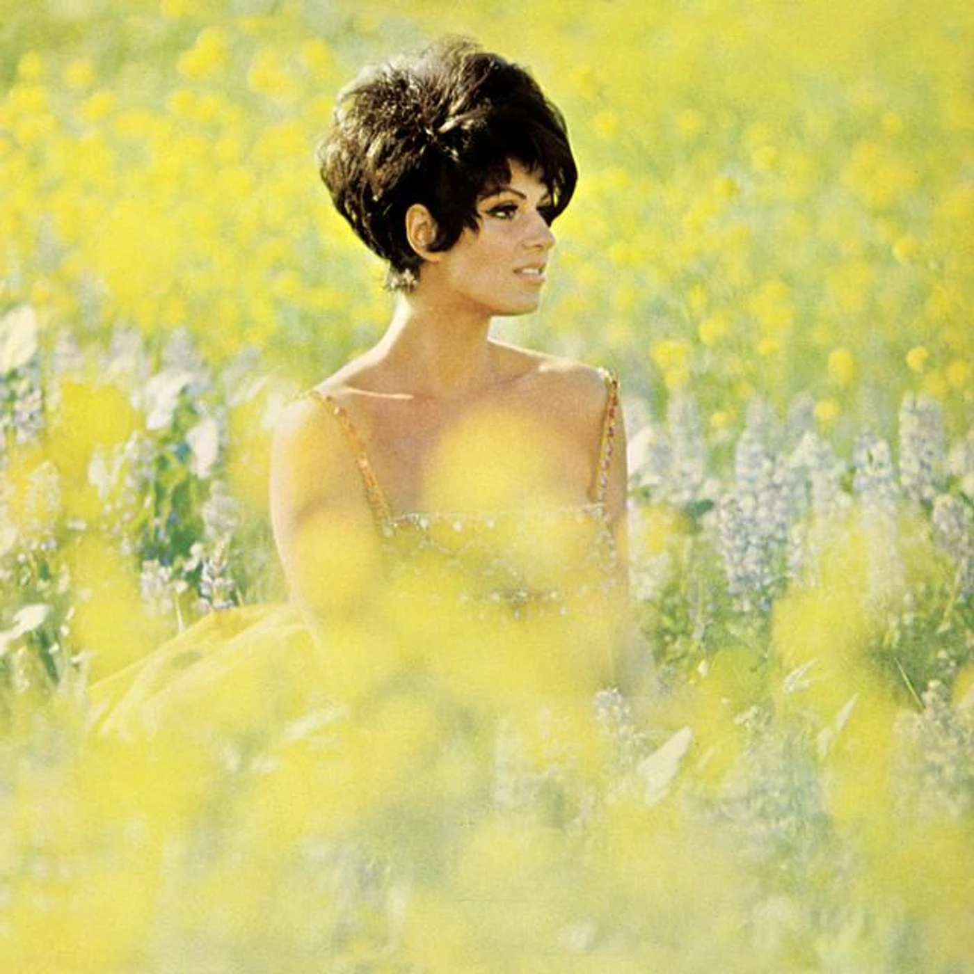 Lainie Kazan Brand Page