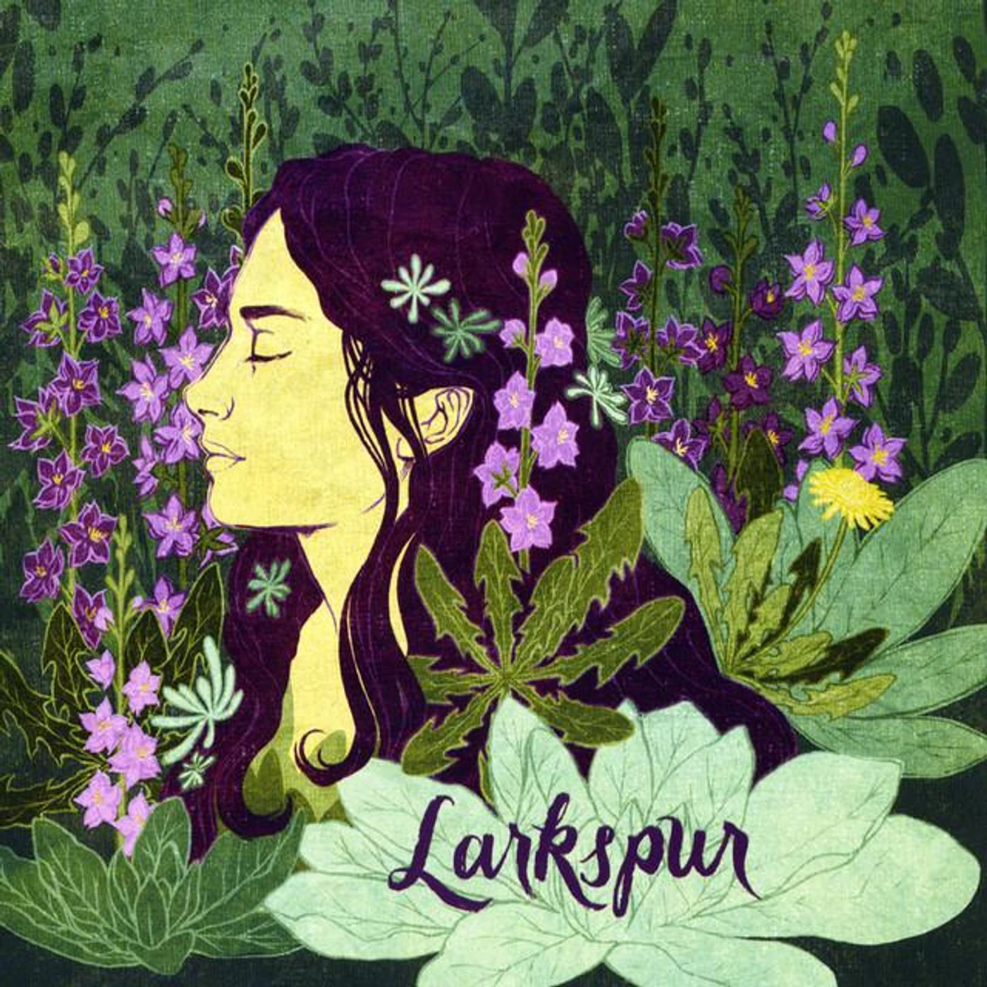 Larkspur