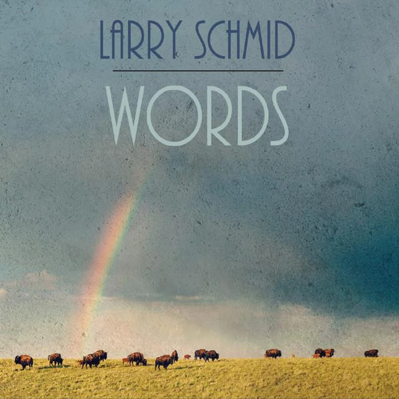 Larry Schmid