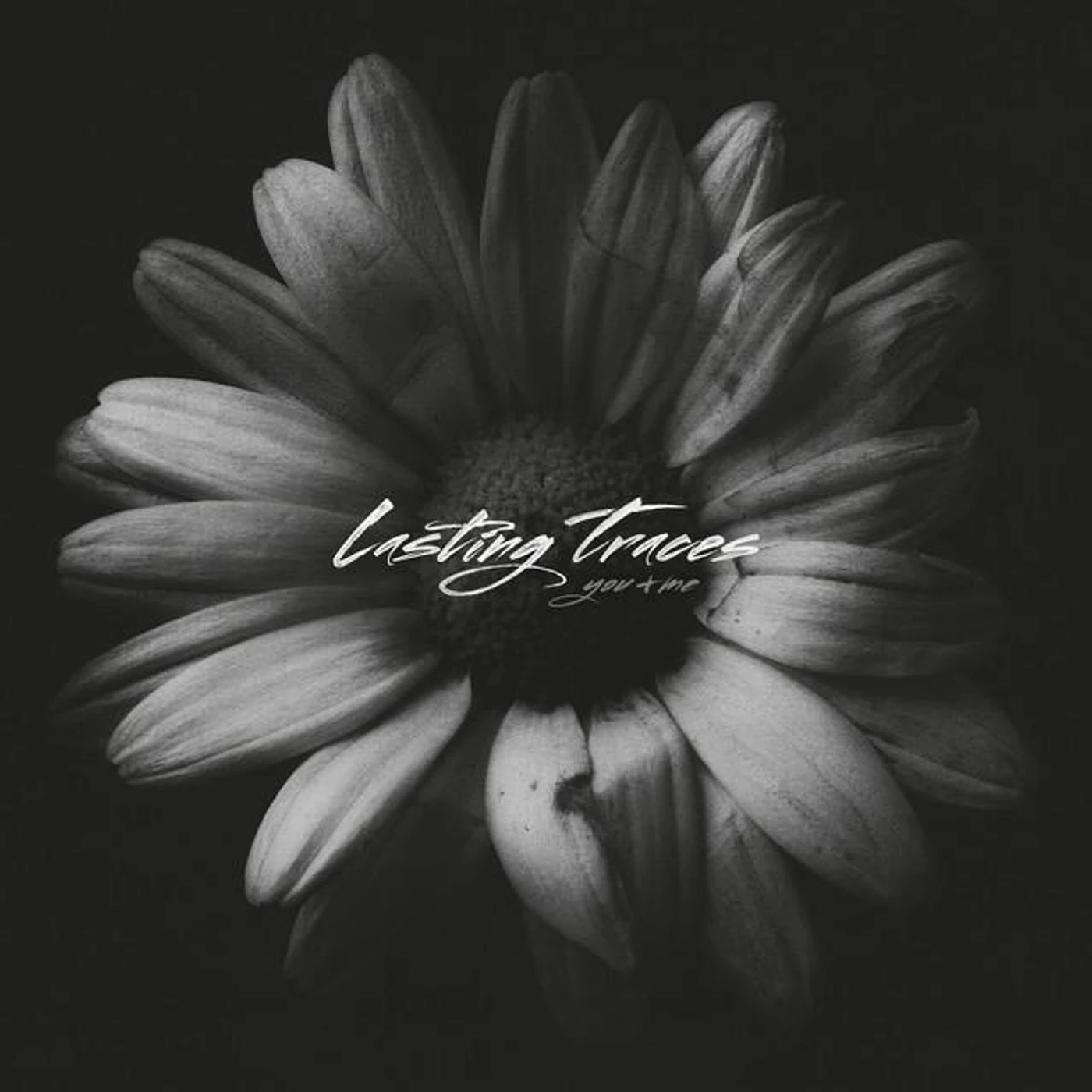Lasting Traces Brand Page