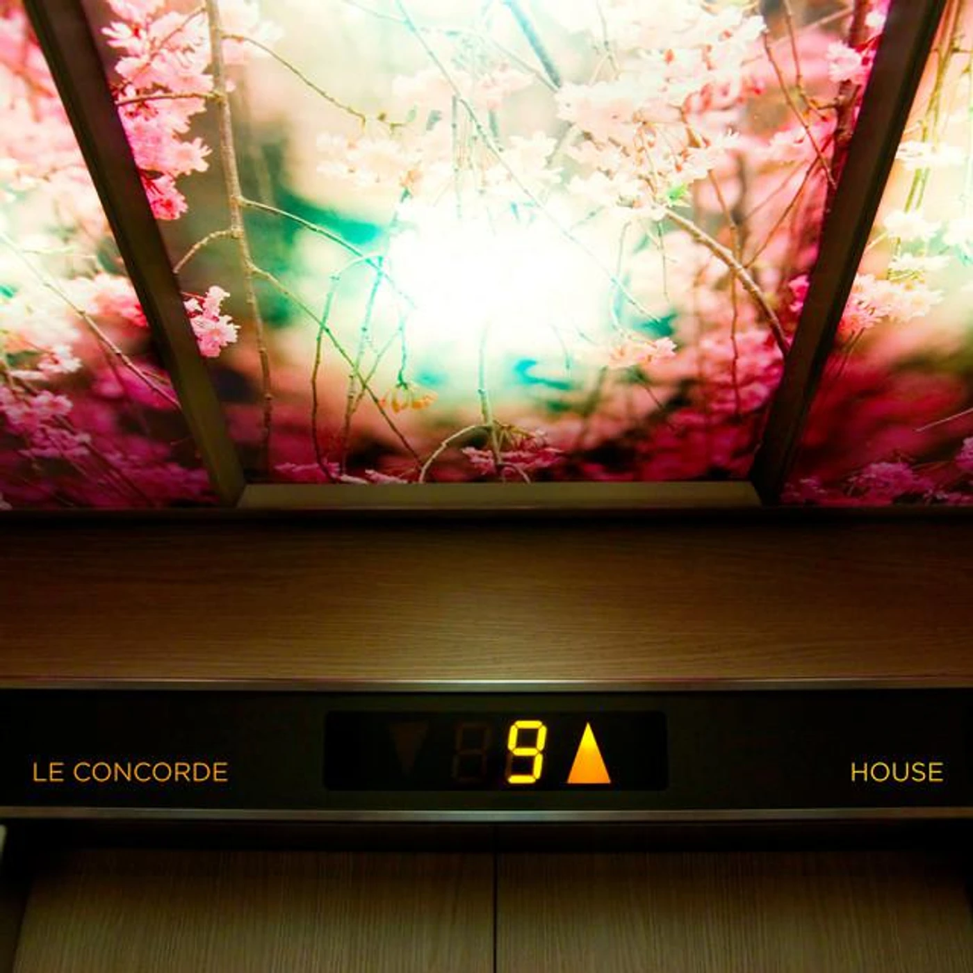 Le Concorde Brand Page