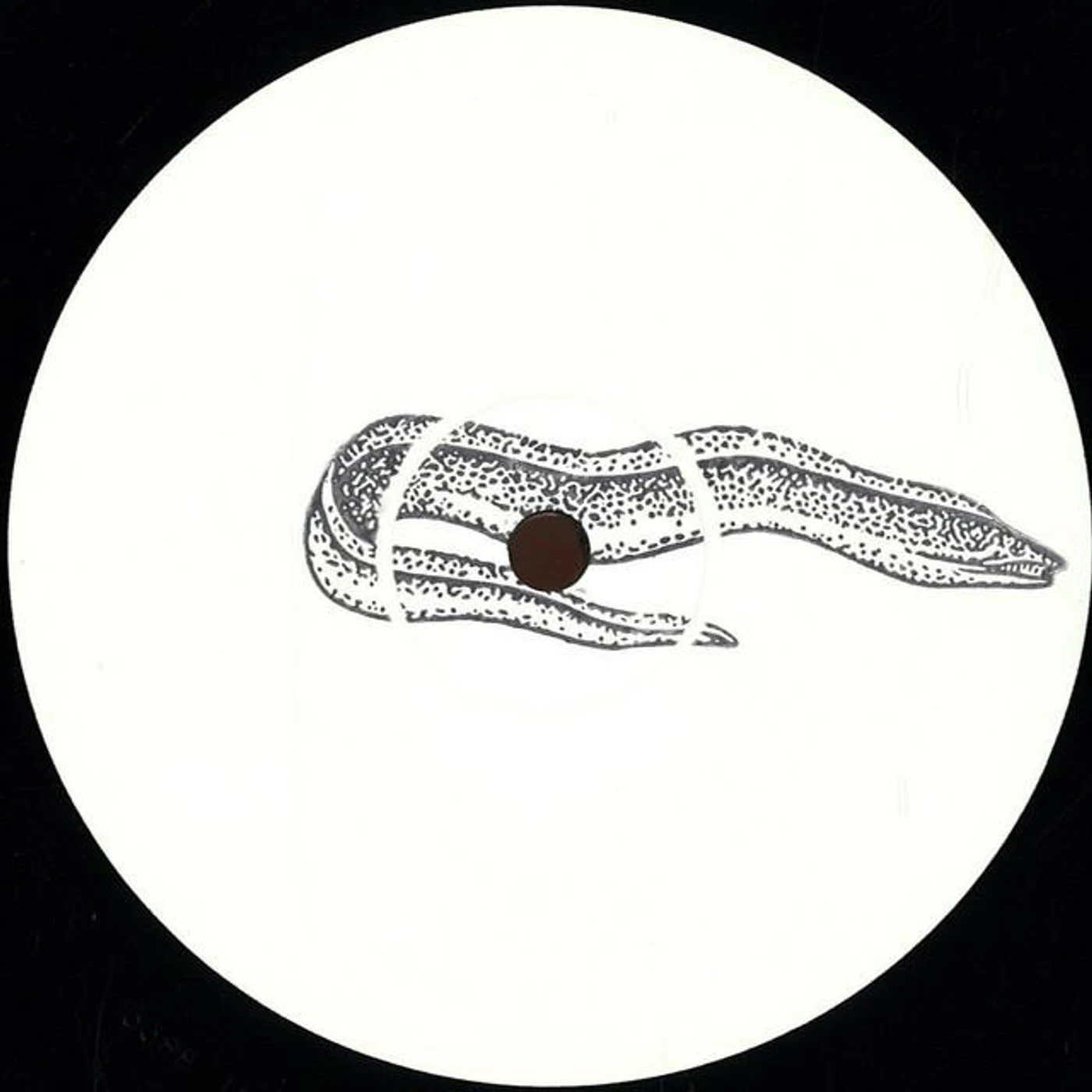 Lenson Brand Page