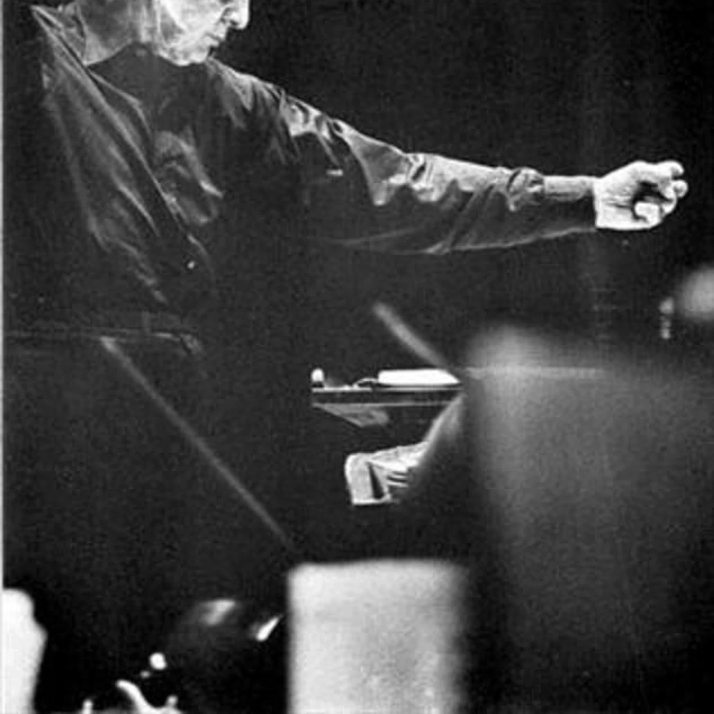 Leopold Stokowski Brand Page