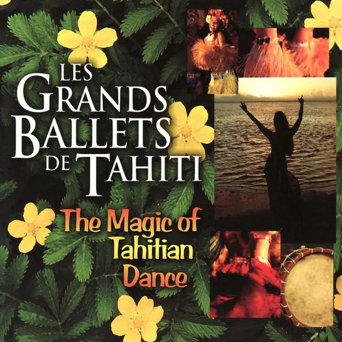 Les Grands Ballets De Tahiti Brand Page