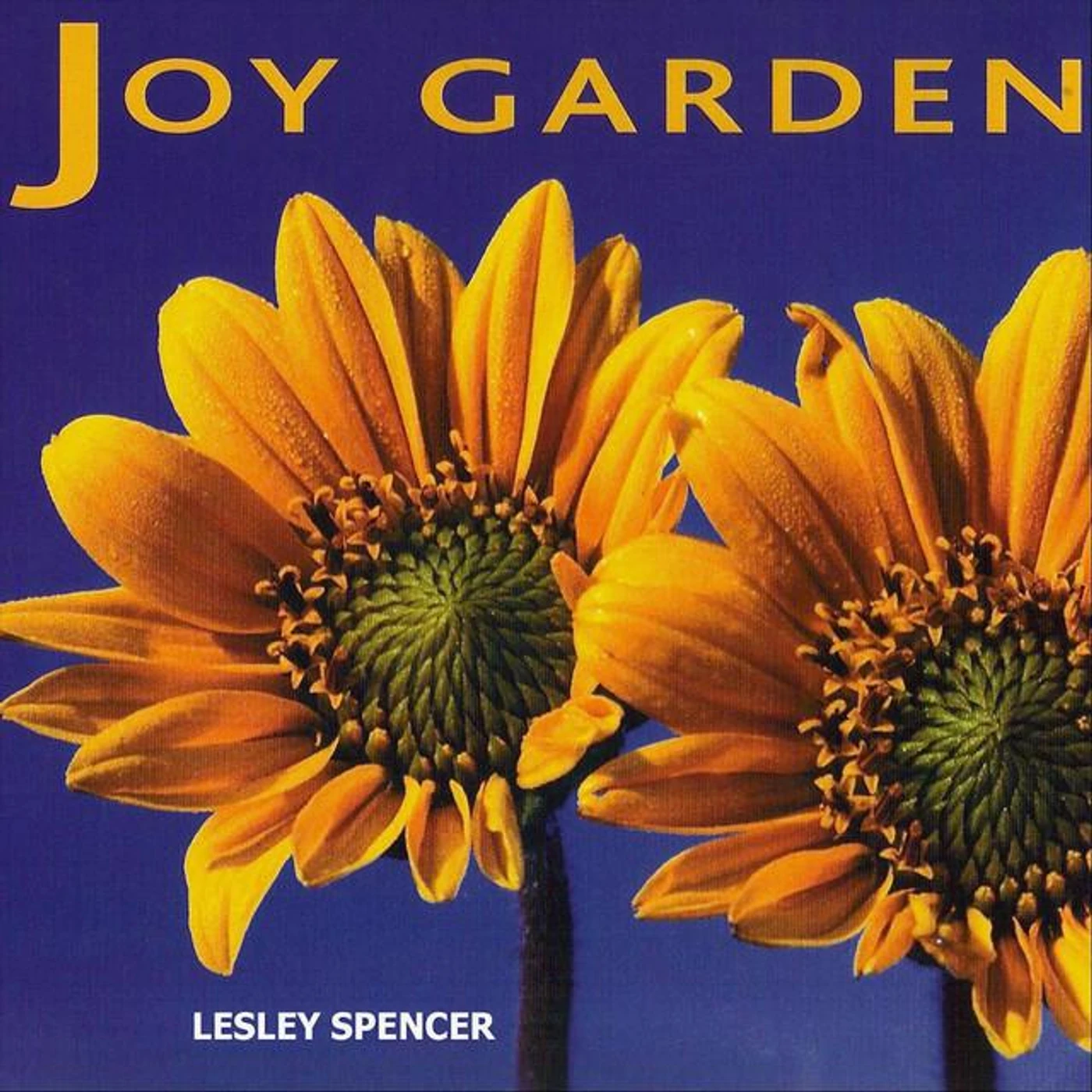 Lesley Spencer Brand Page