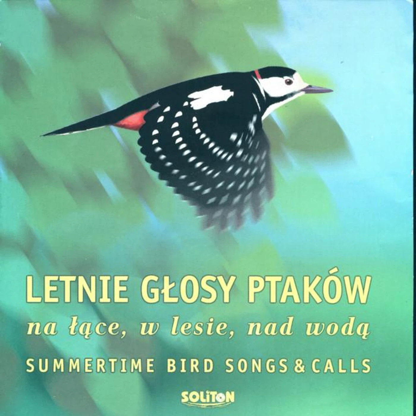 Letnie Glosy Ptakow