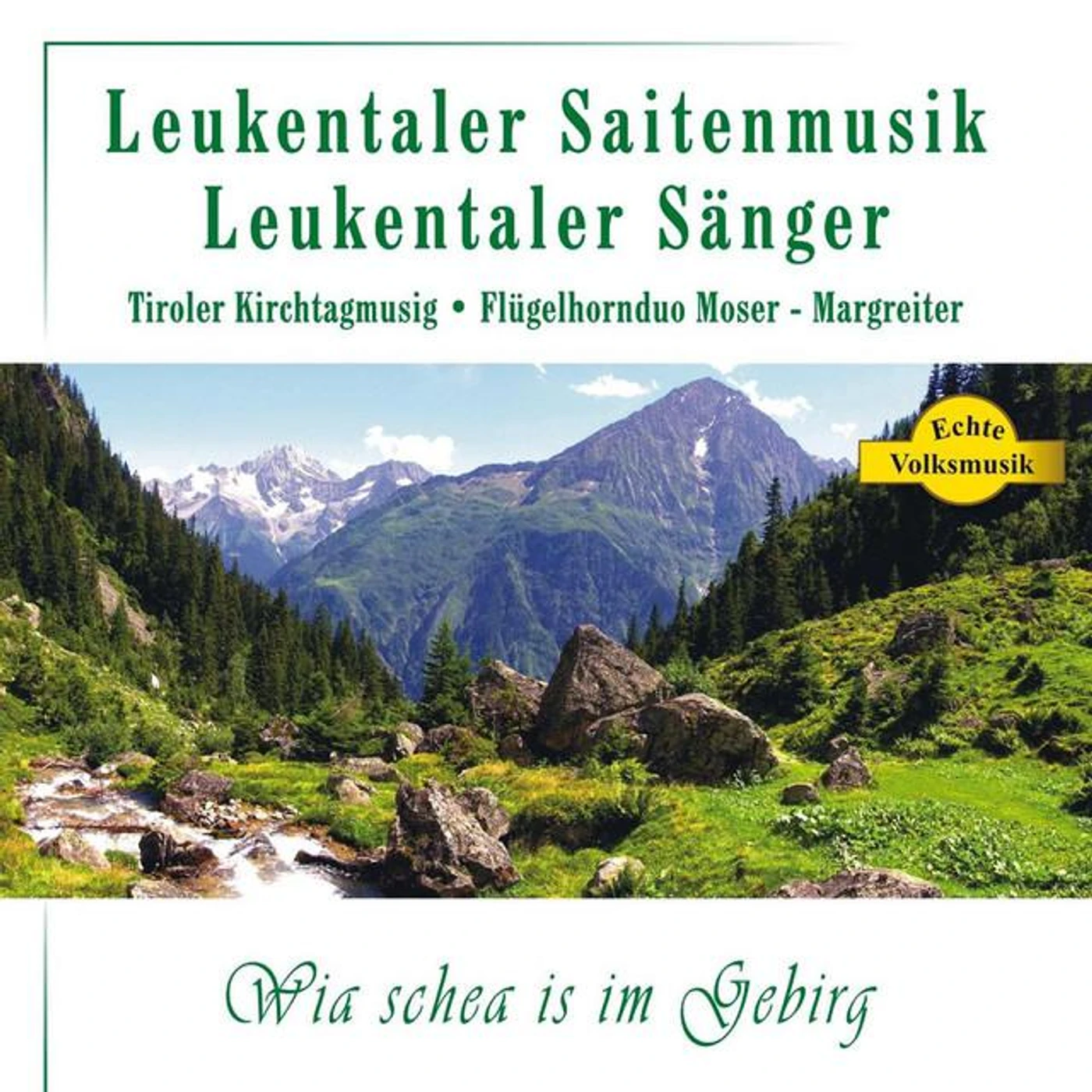 Leukentaler Saitenmusik Brand Page