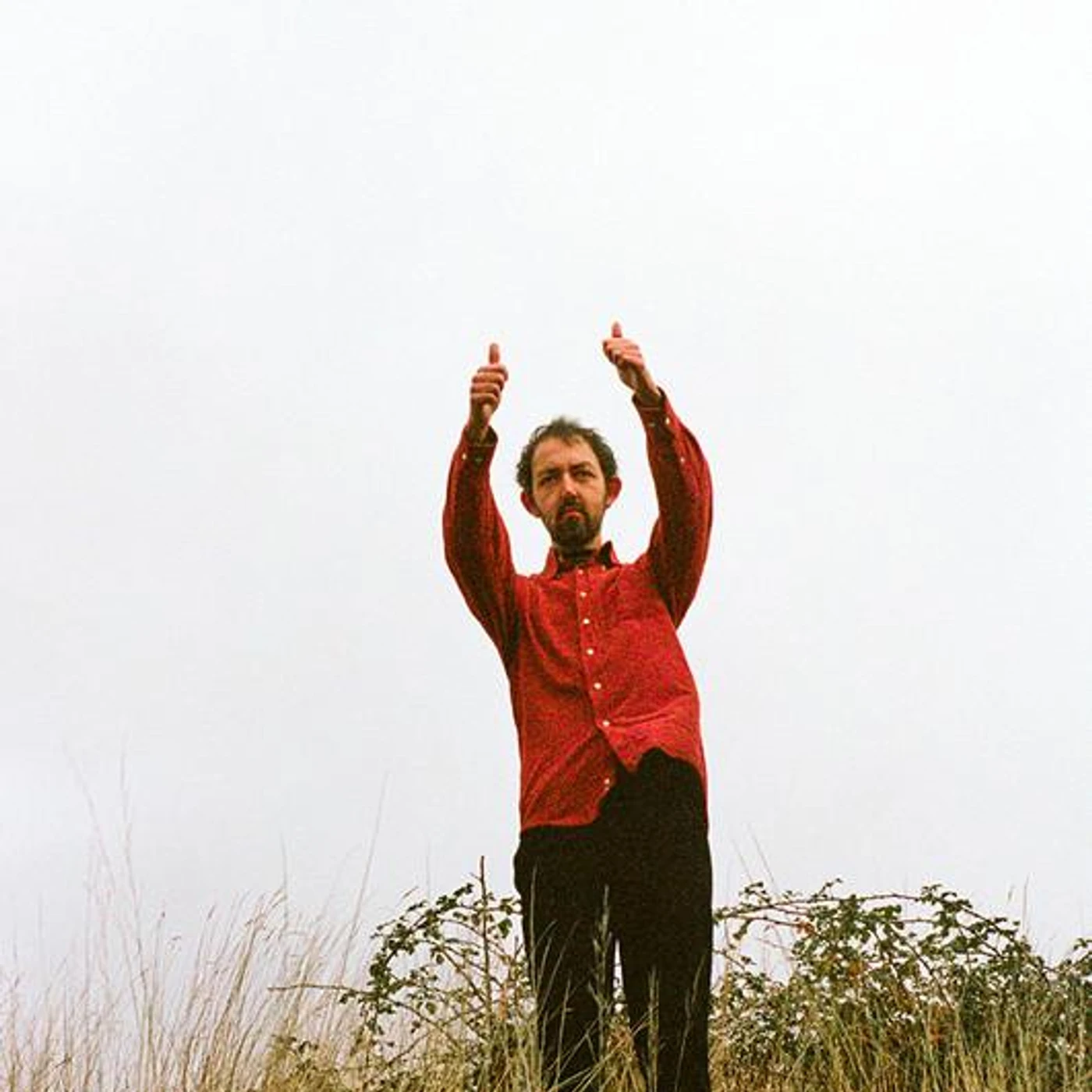 Lewis Coleman Brand Page