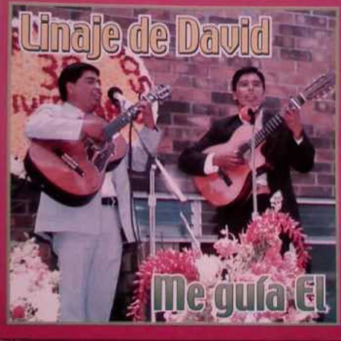 Linaje de David