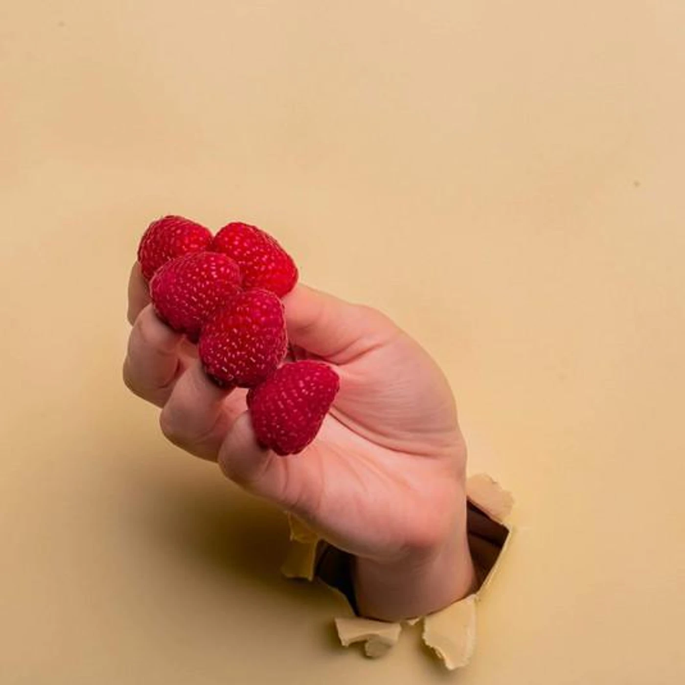 Linia Nocna Brand Page