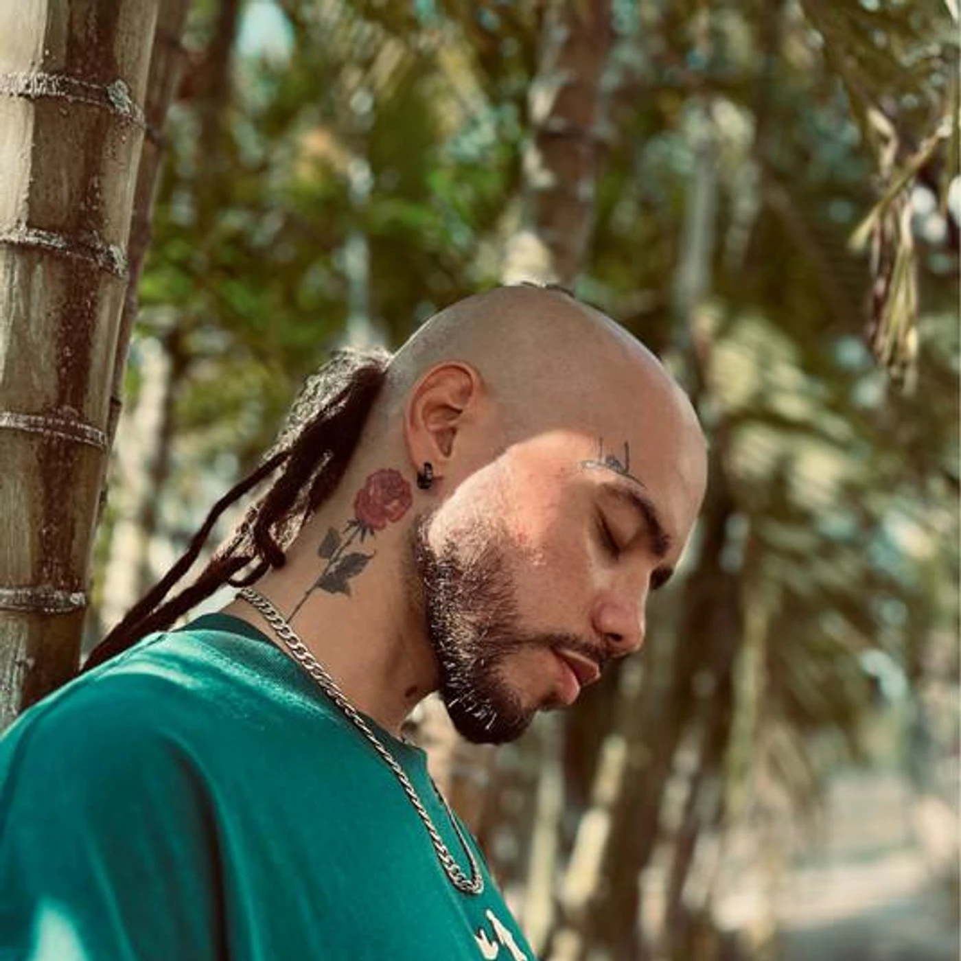 Lion Reggae Brand Page