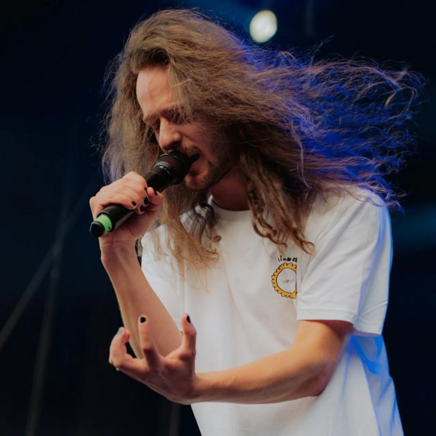 LIONFIGHT Brand Page