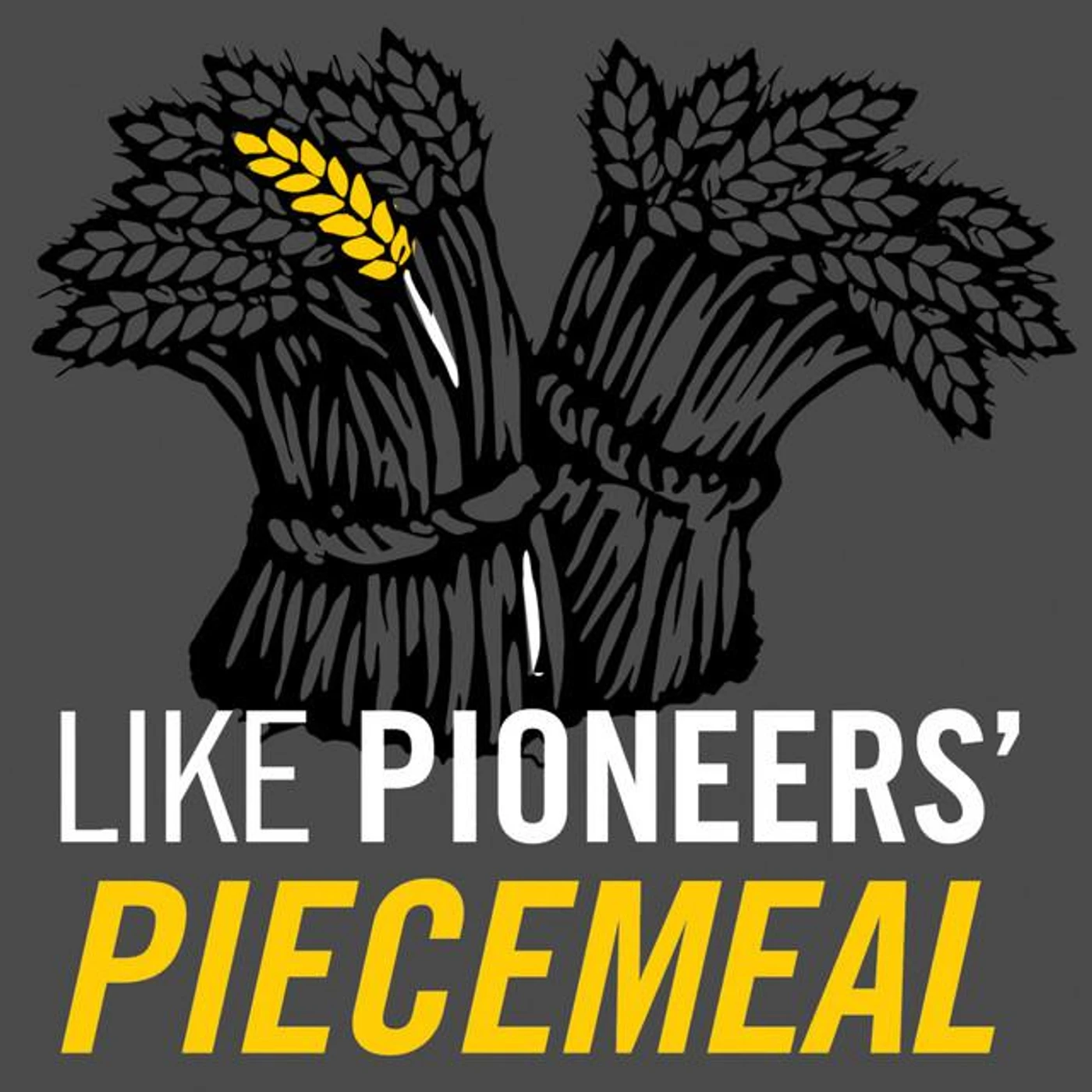 Like Pioneers Brand Page