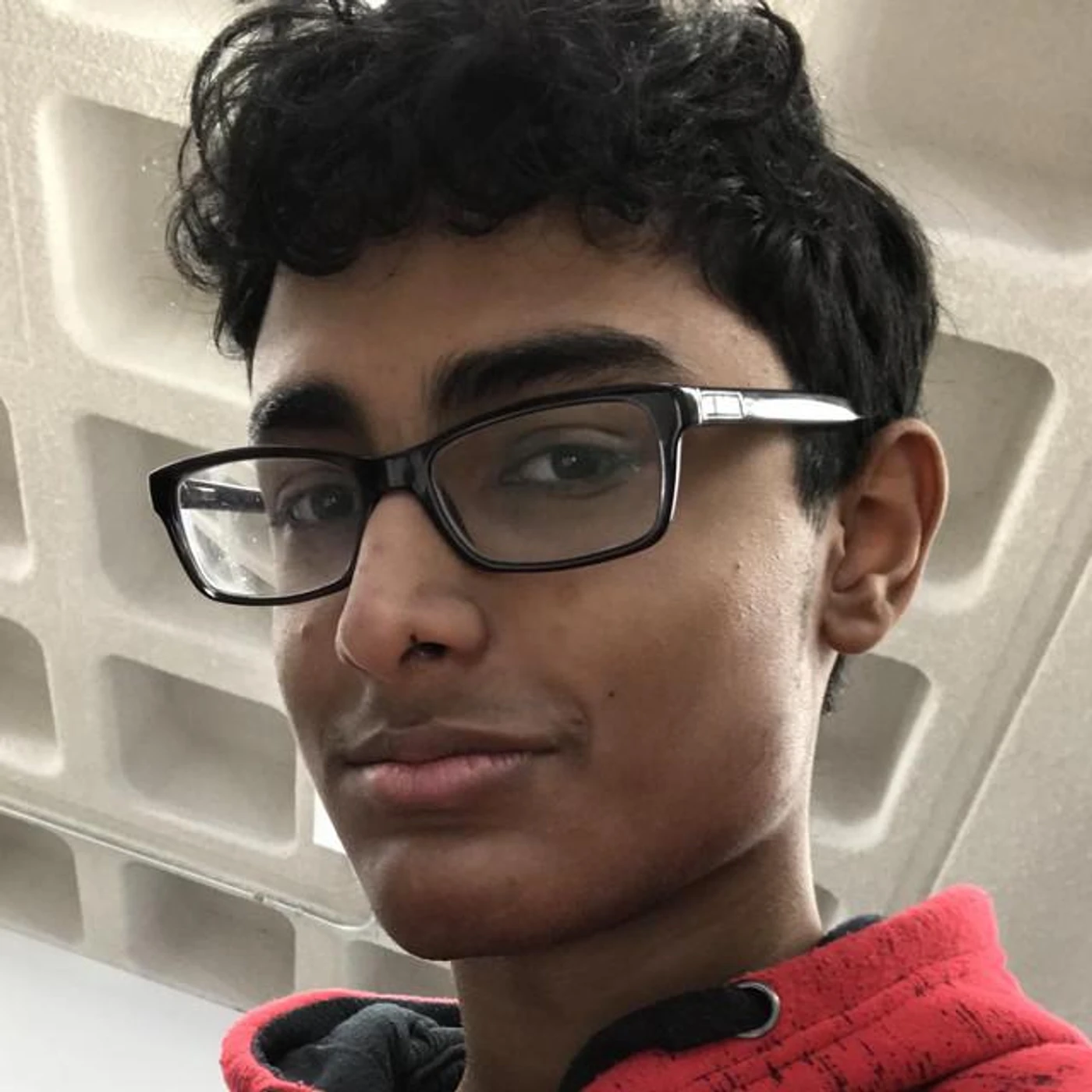 Lil Meerkat Brand Page