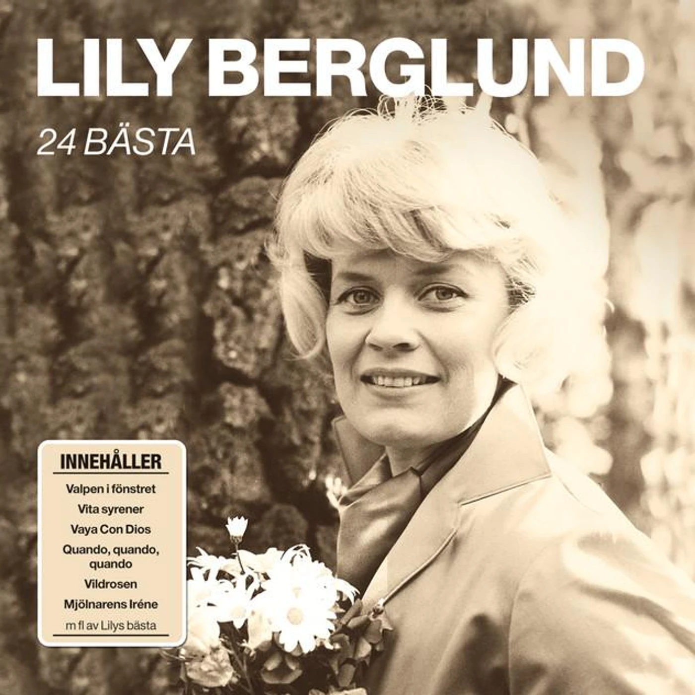Lily Berglund Brand Page